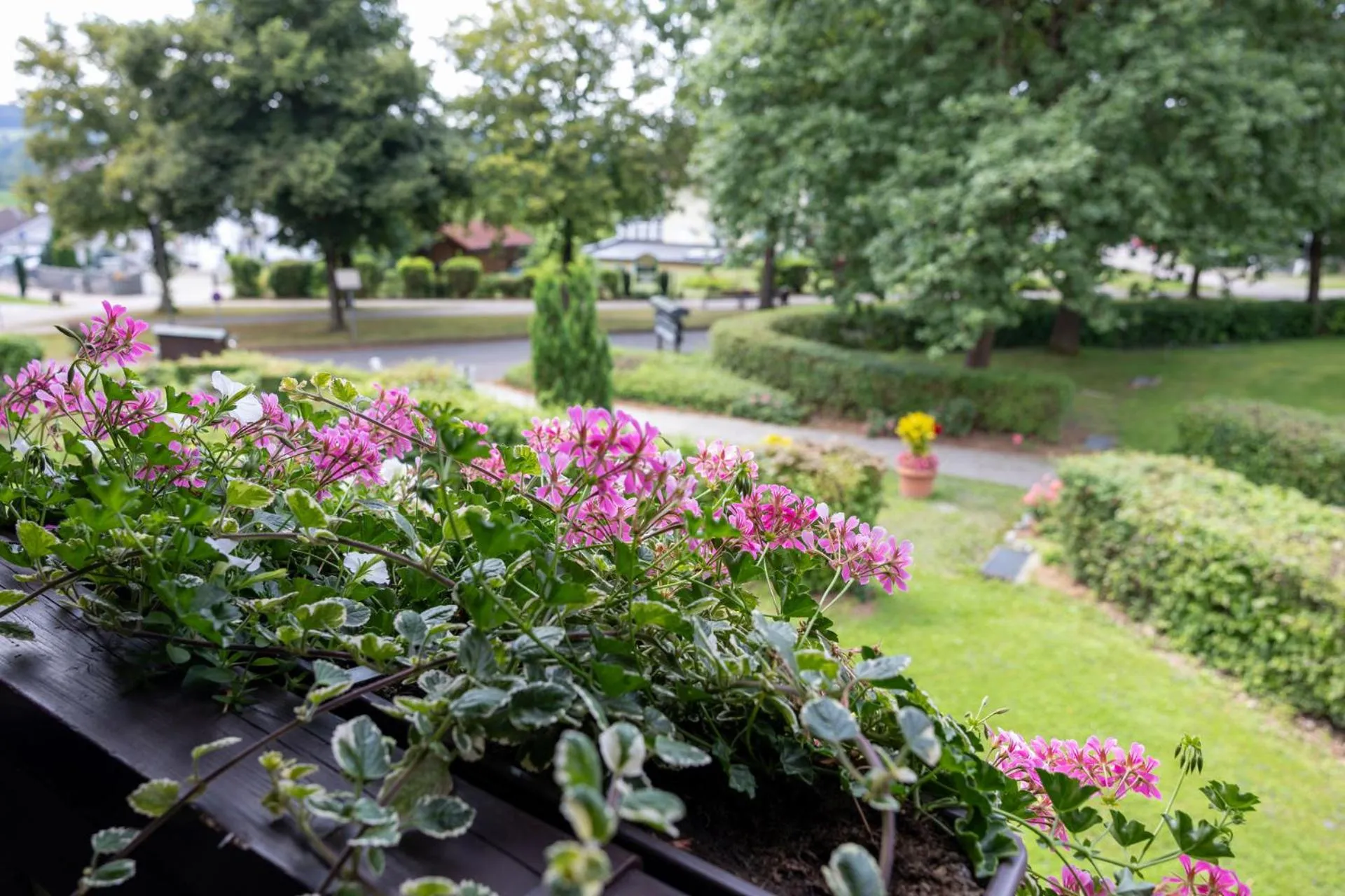 Garden in Hotel Sonnenhof