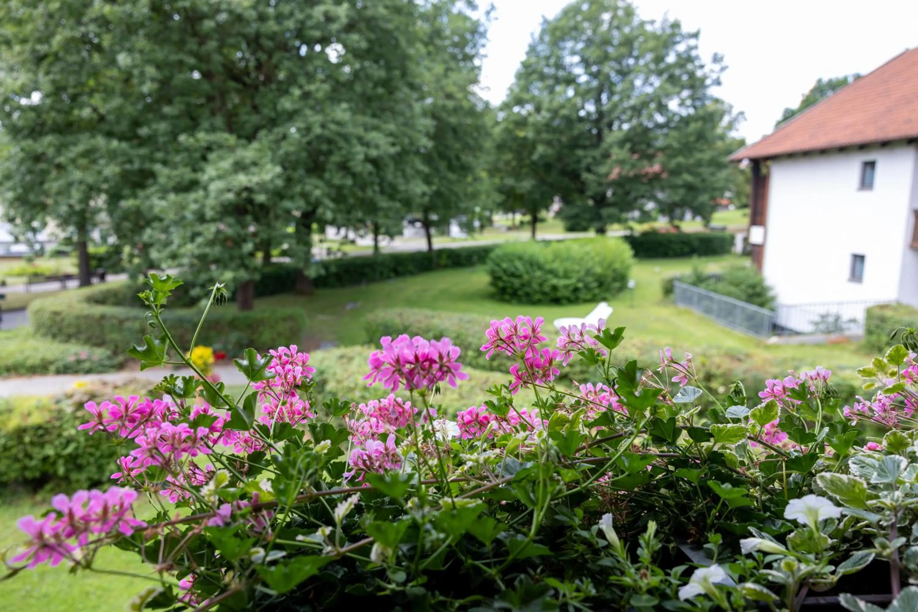 View (from property/room) in Hotel Sonnenhof