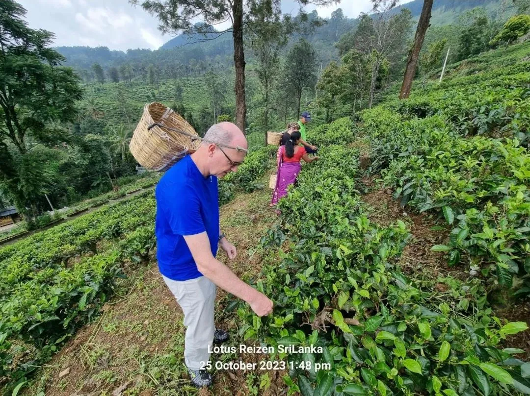 Natural landscape in Lotus Villa Kandy