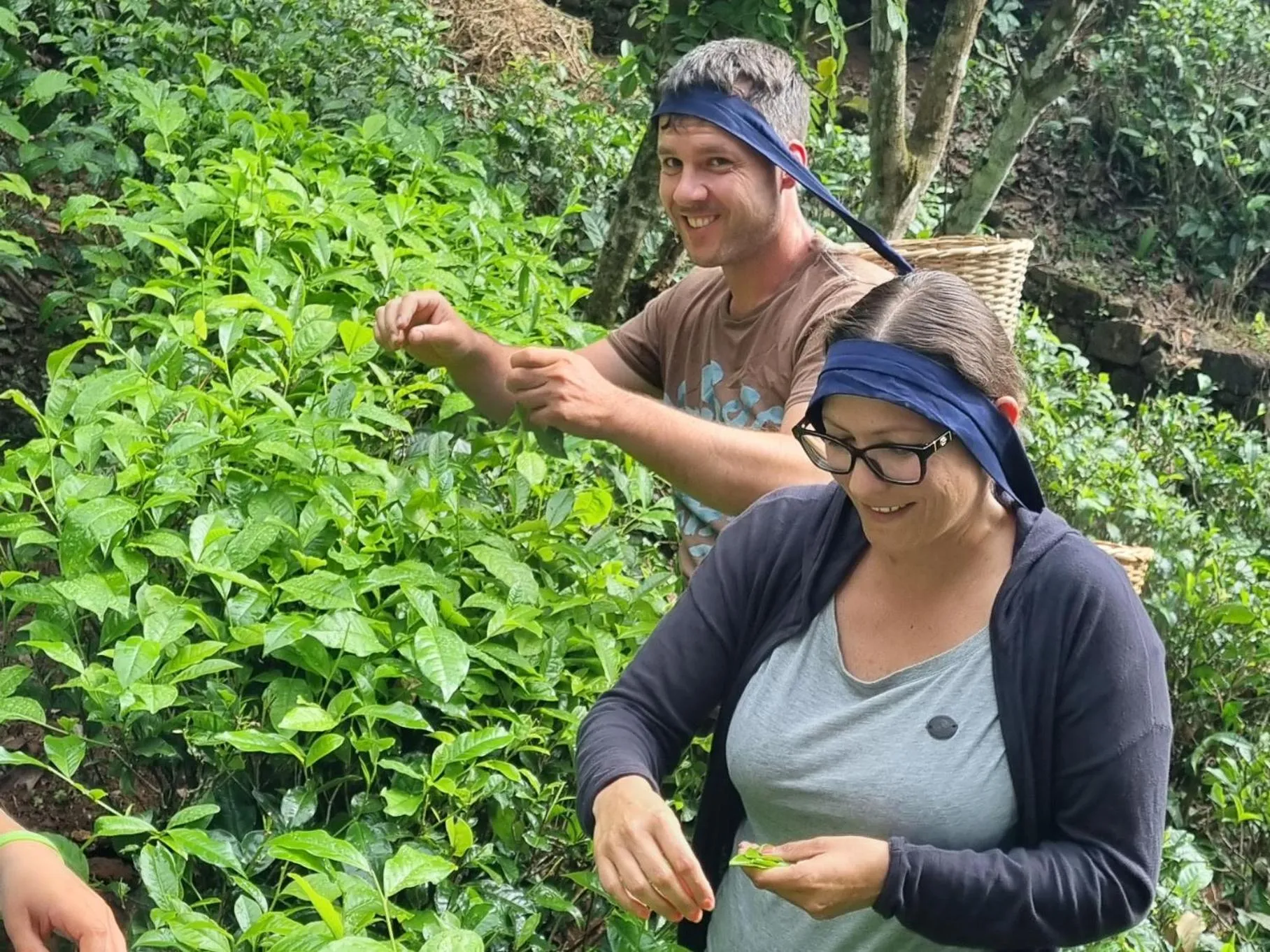 Natural landscape in Lotus Villa Kandy