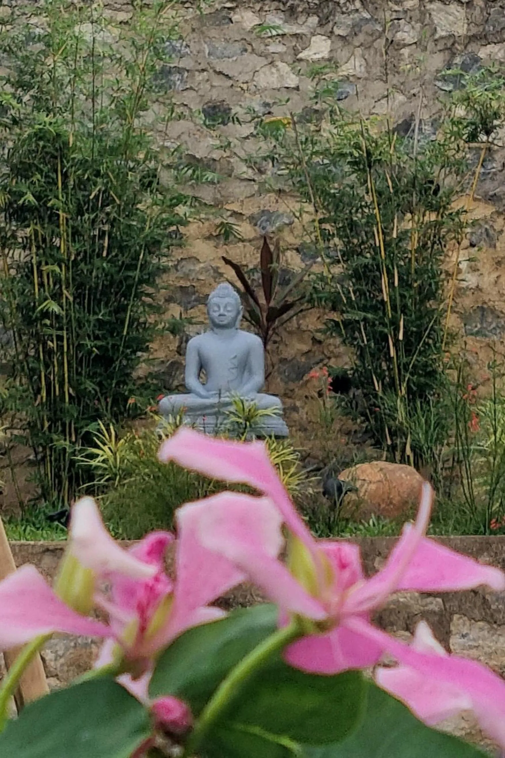 Garden in Lotus Villa Kandy