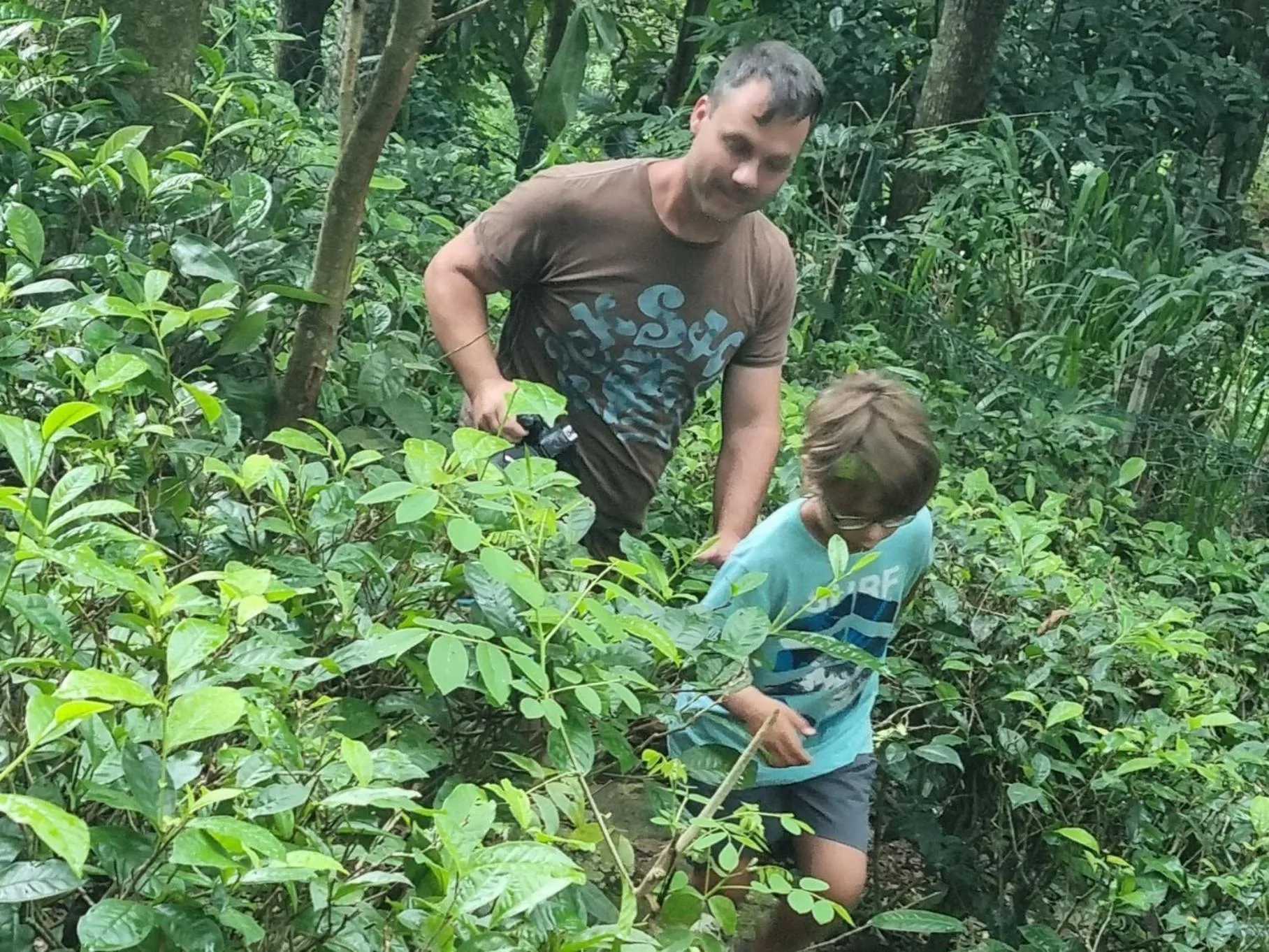 Natural landscape in Lotus Villa Kandy
