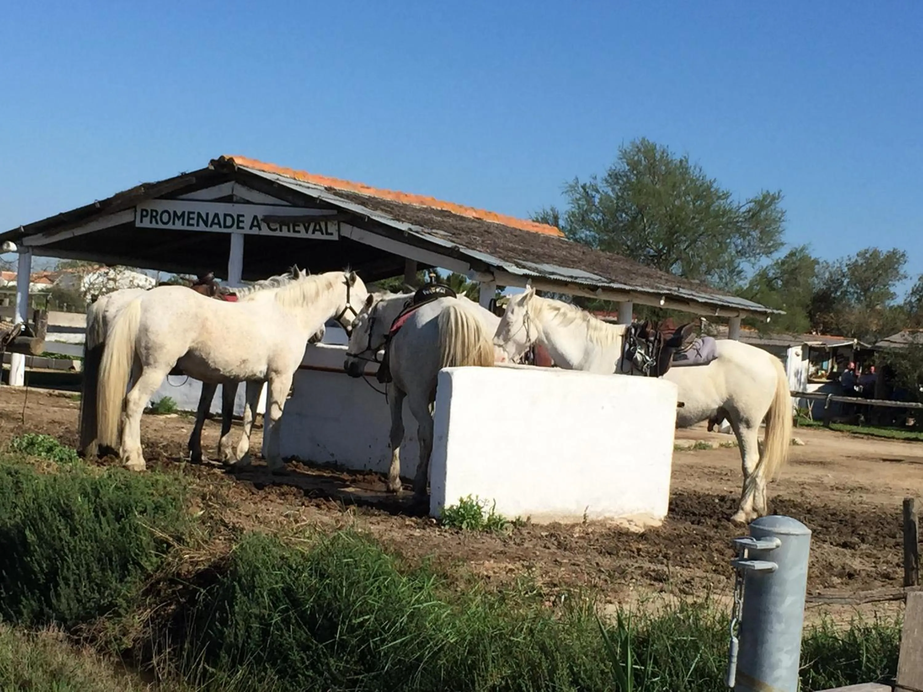 Day in Hotel Myriam Vias Plage