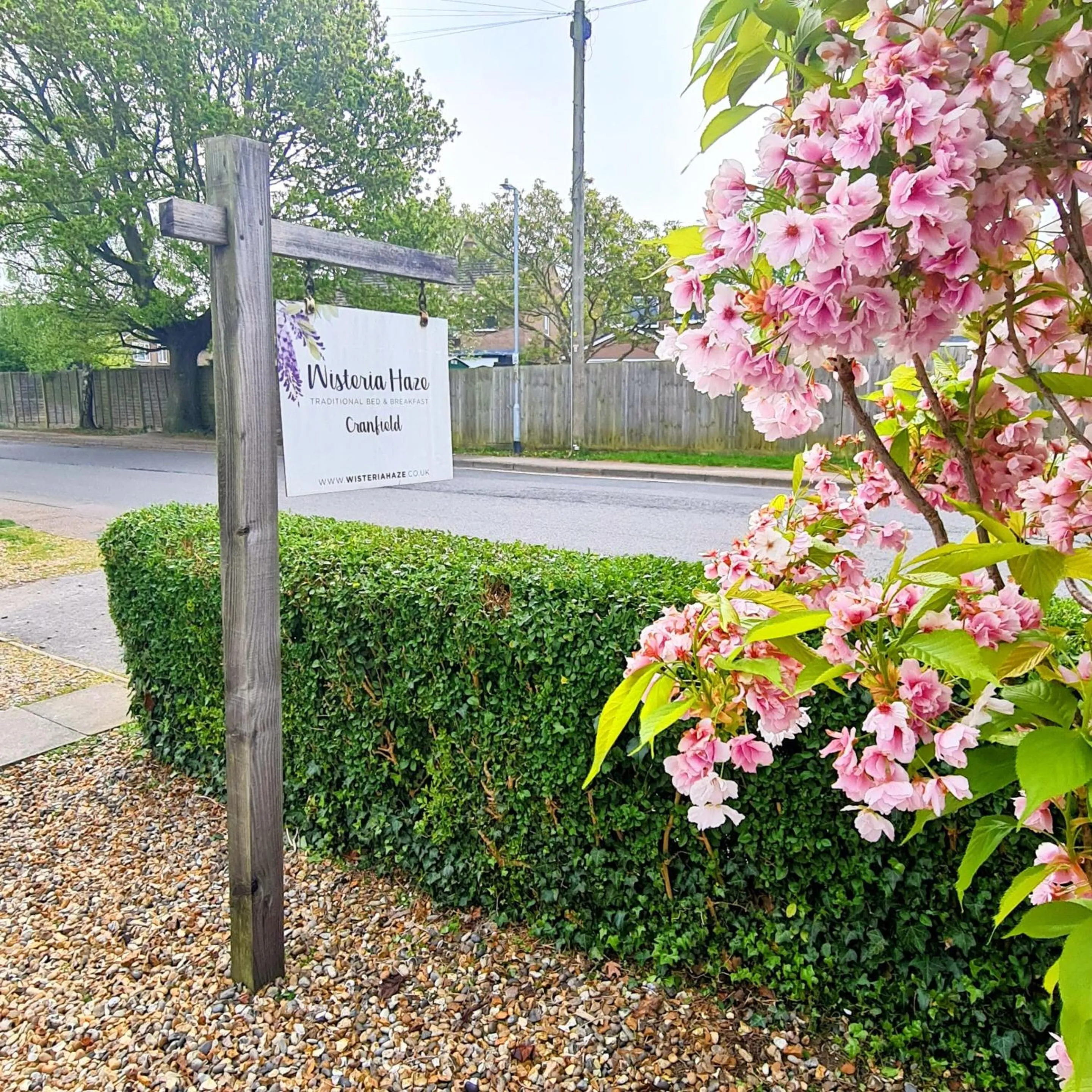 Property building in Wisteria Haze