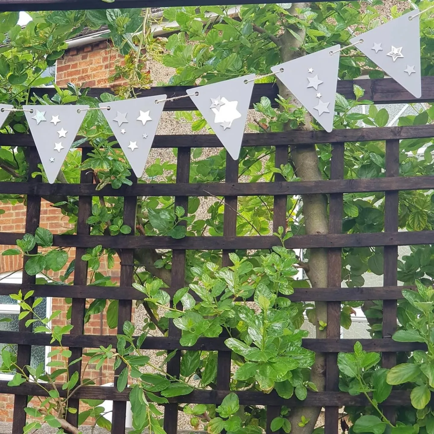 Garden in Wisteria Haze
