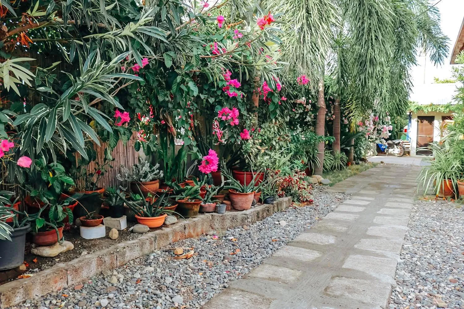 Airport View Hotel Vigan