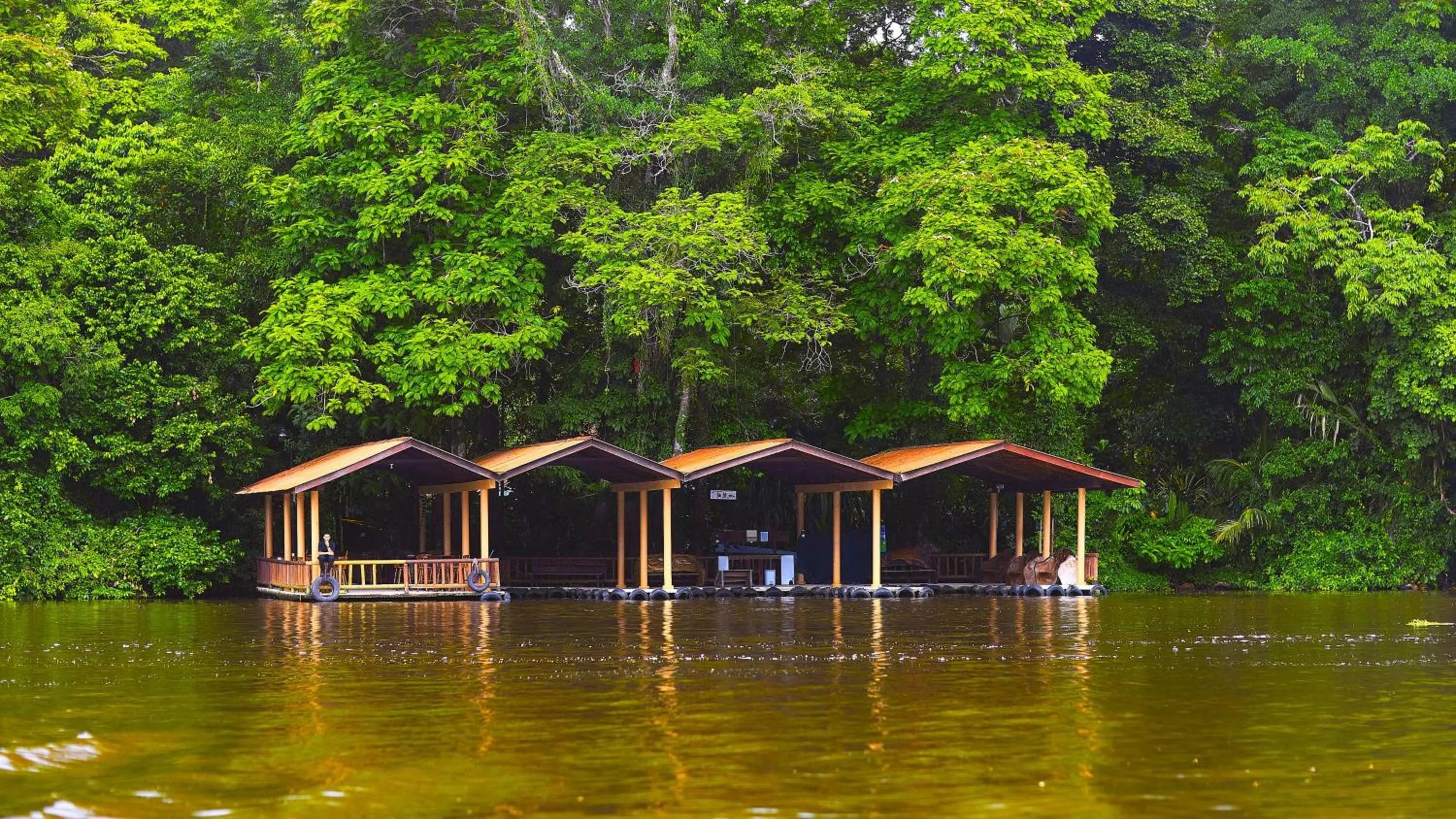 Natural landscape in Evergreen Lodge