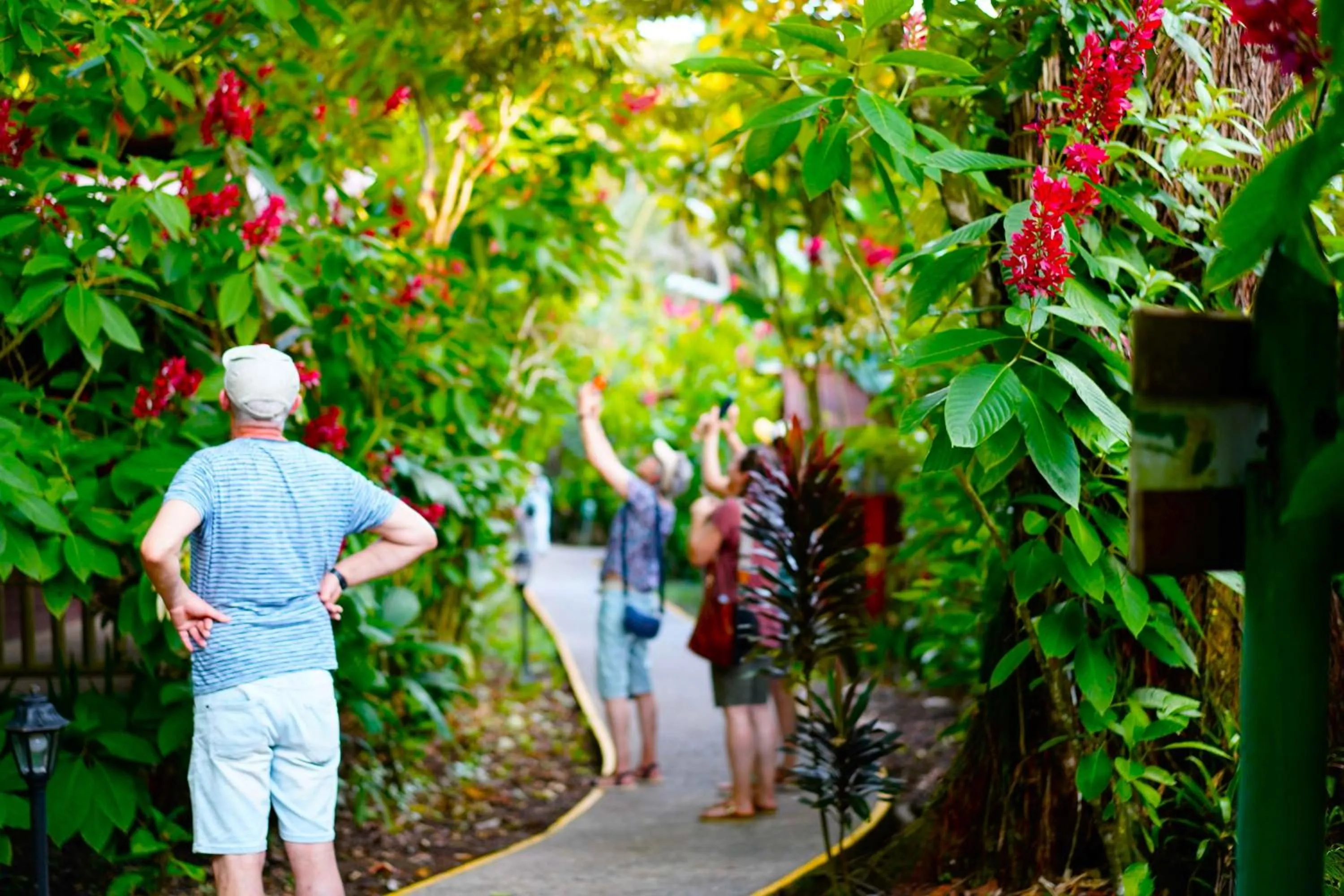 Activities in Evergreen Lodge