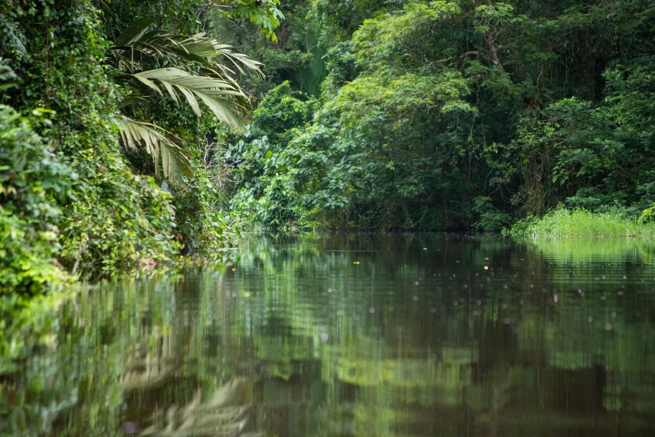 River view in Pachira Lodge