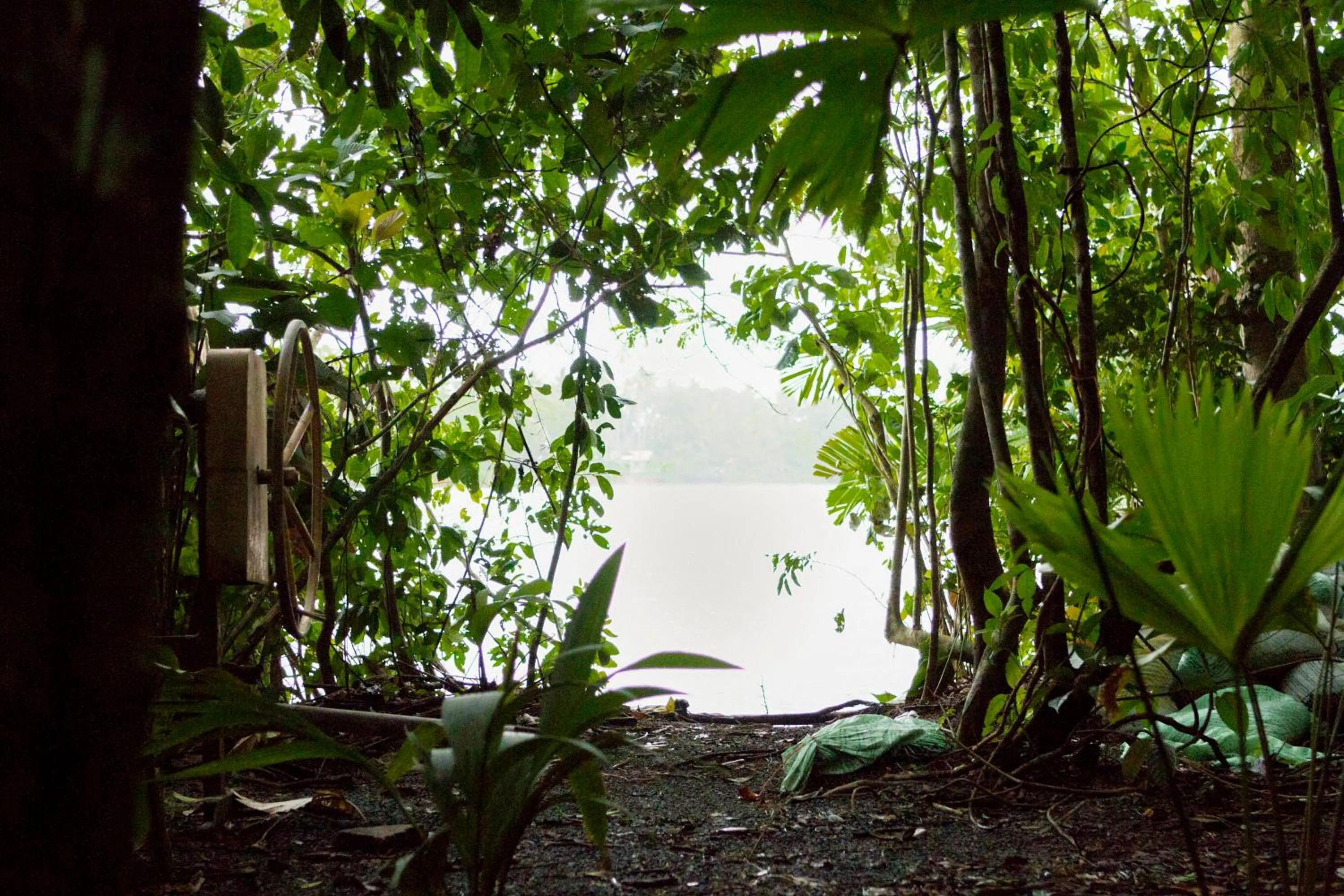 Lake view in Pachira Lodge