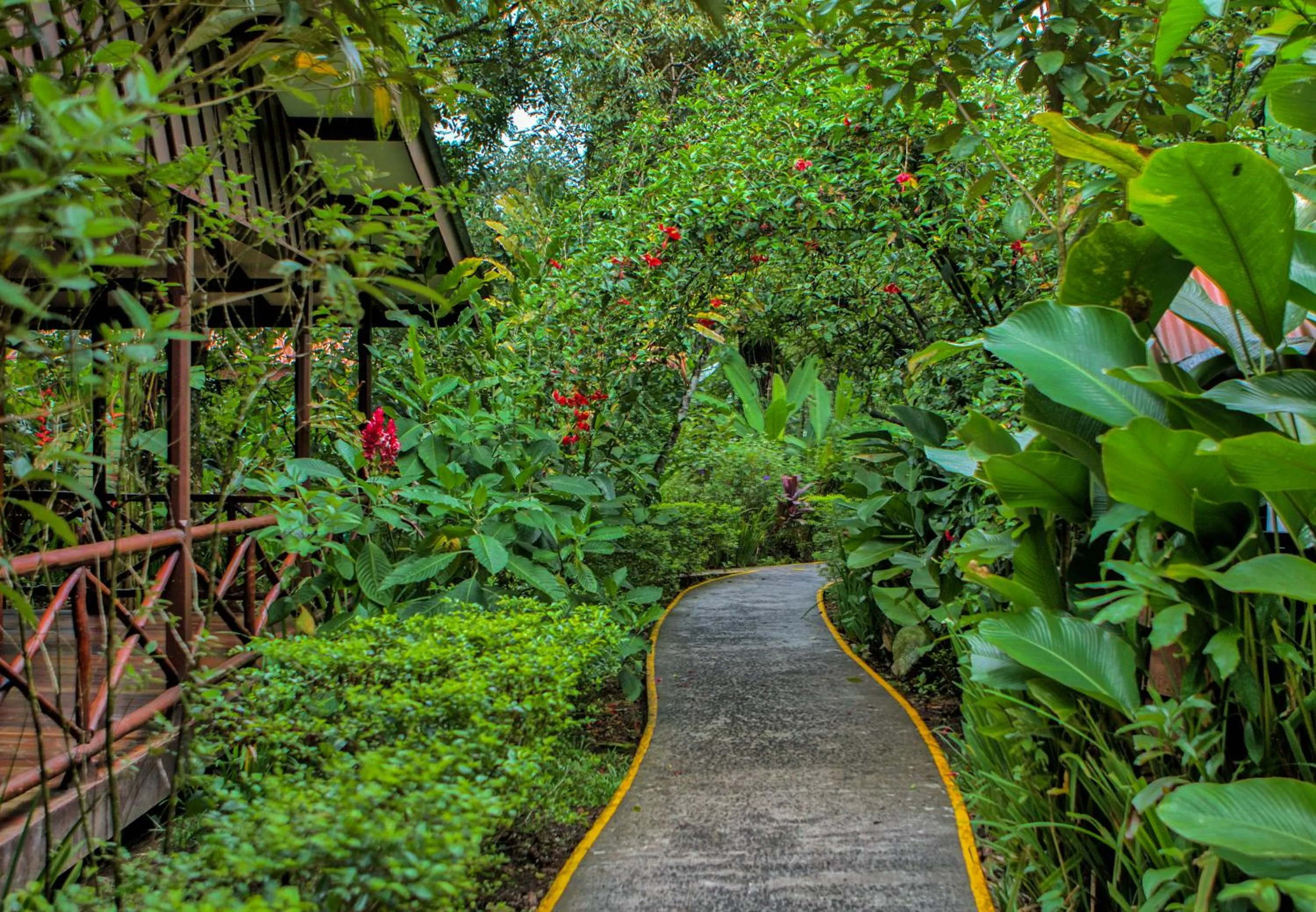 Facade/entrance in Pachira Lodge