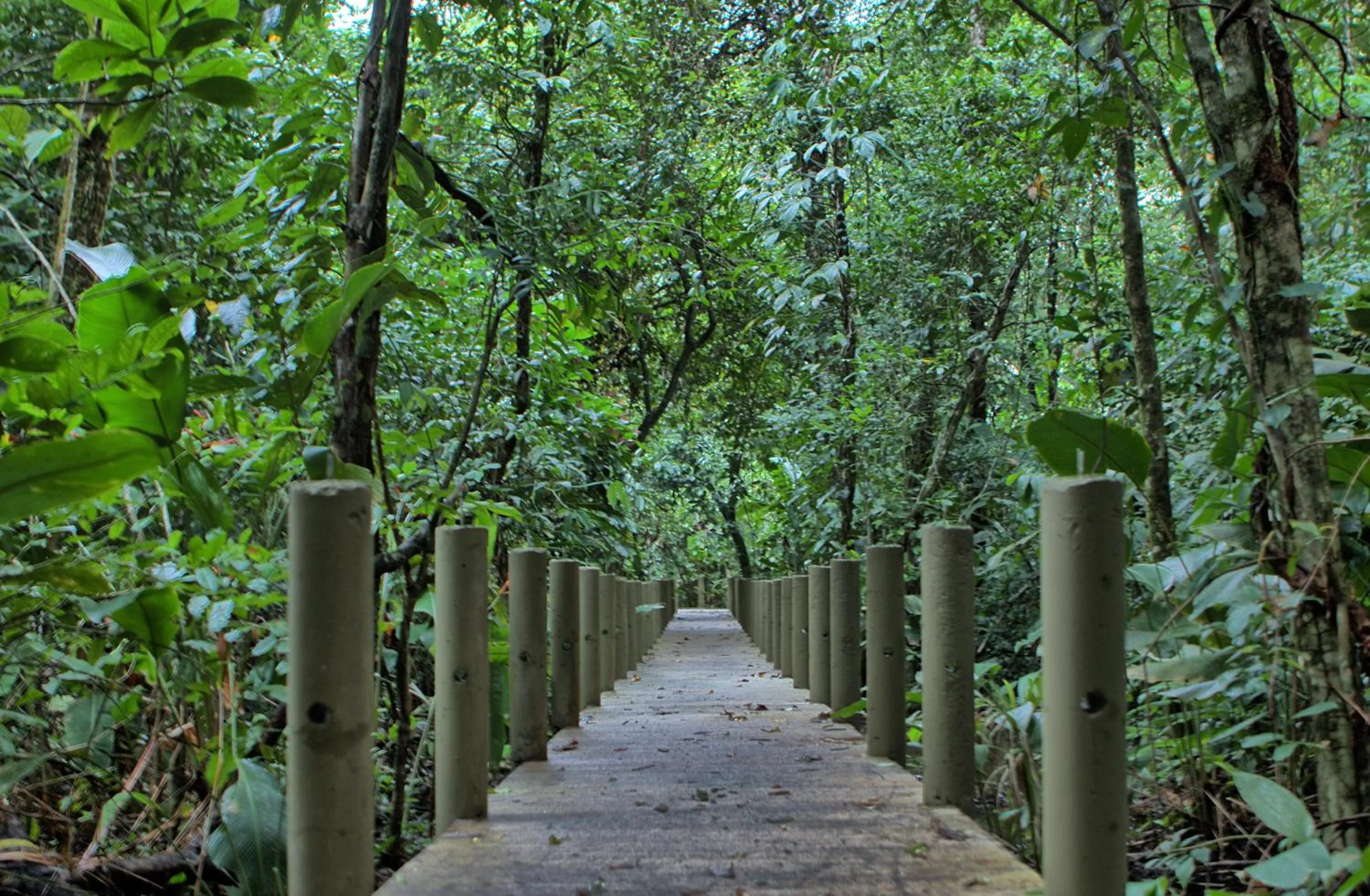 Hiking in Pachira Lodge