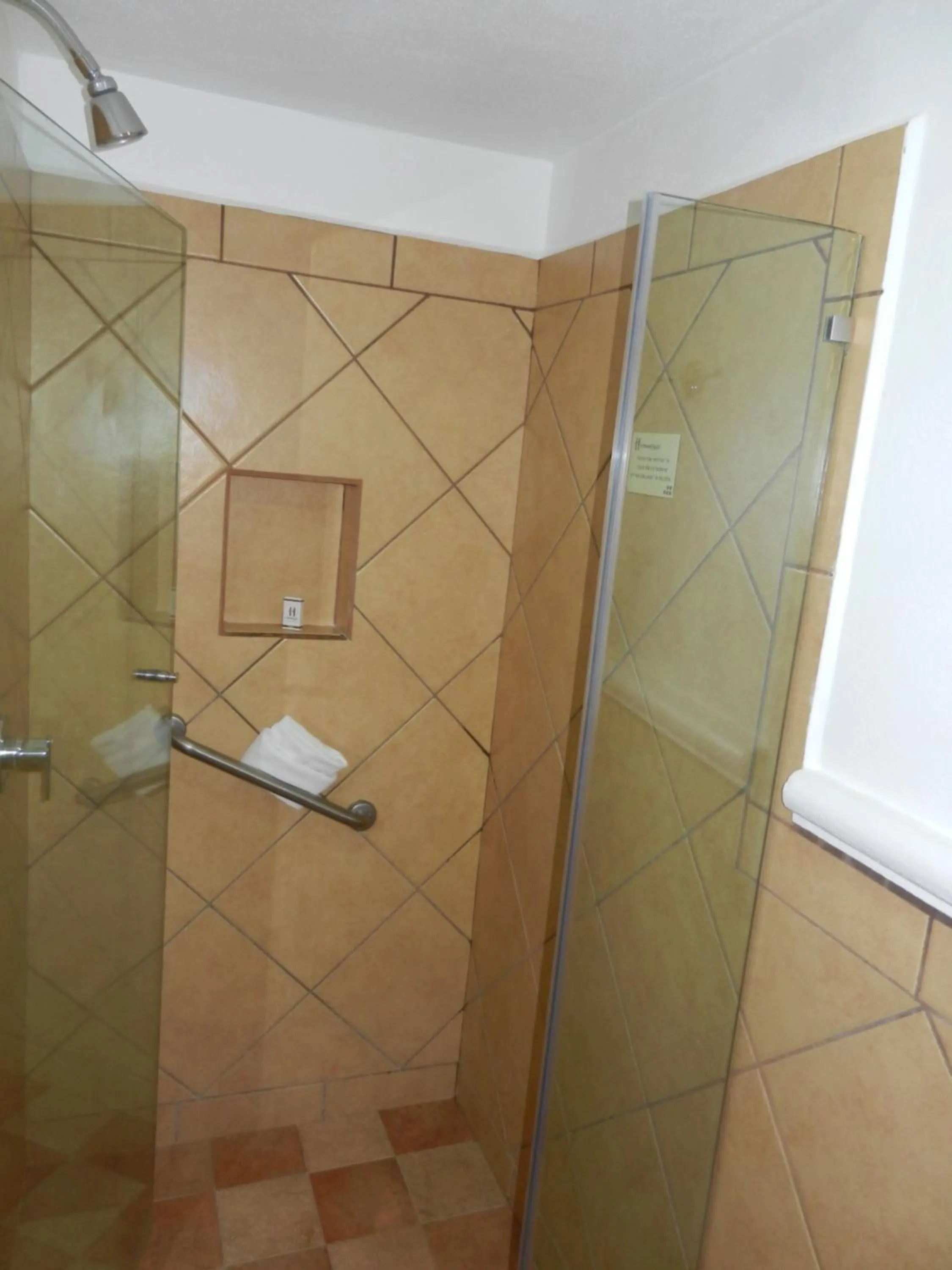 Shower in Hotel 9 Manantiales