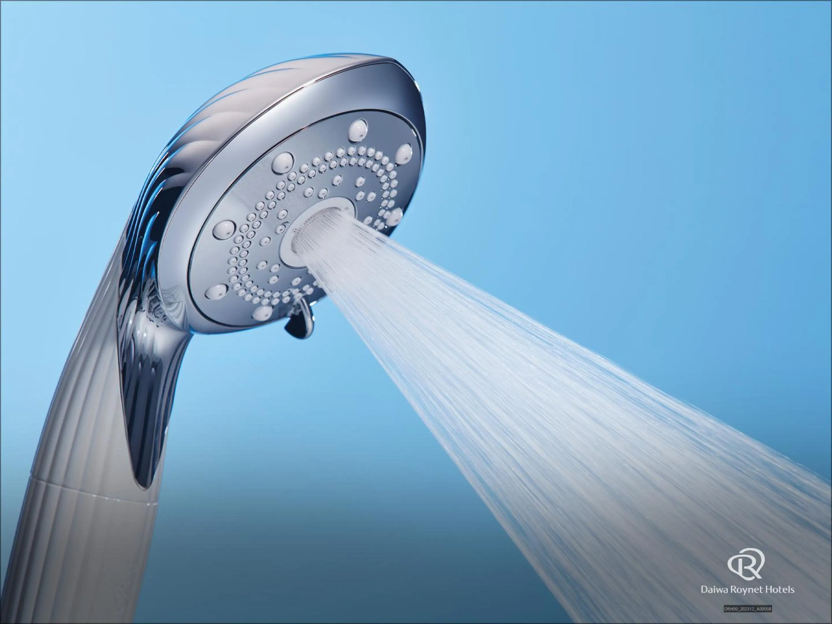 Daiwa Roynet Hotel Wakayama