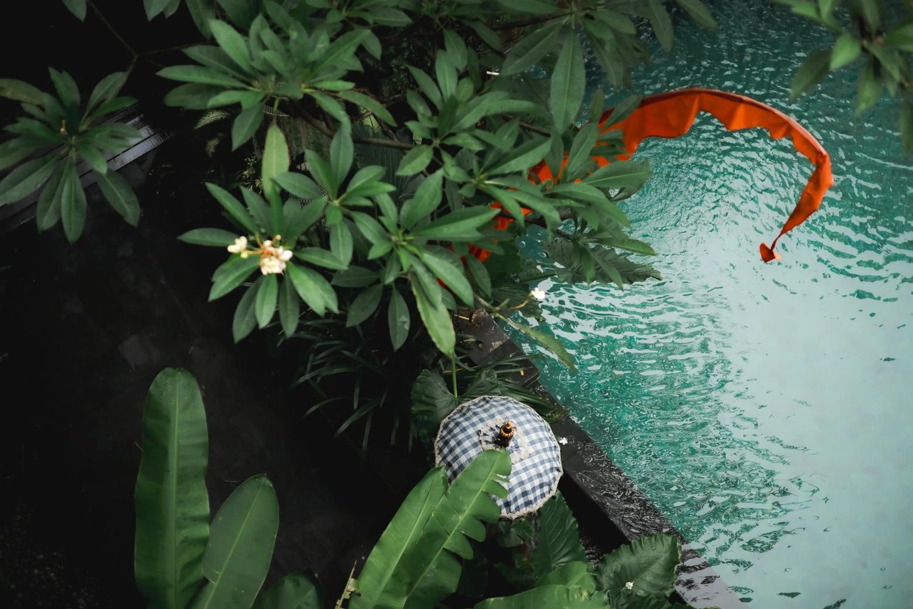 Natural landscape in Fourteen Roses Boutique Hotel, Kuta