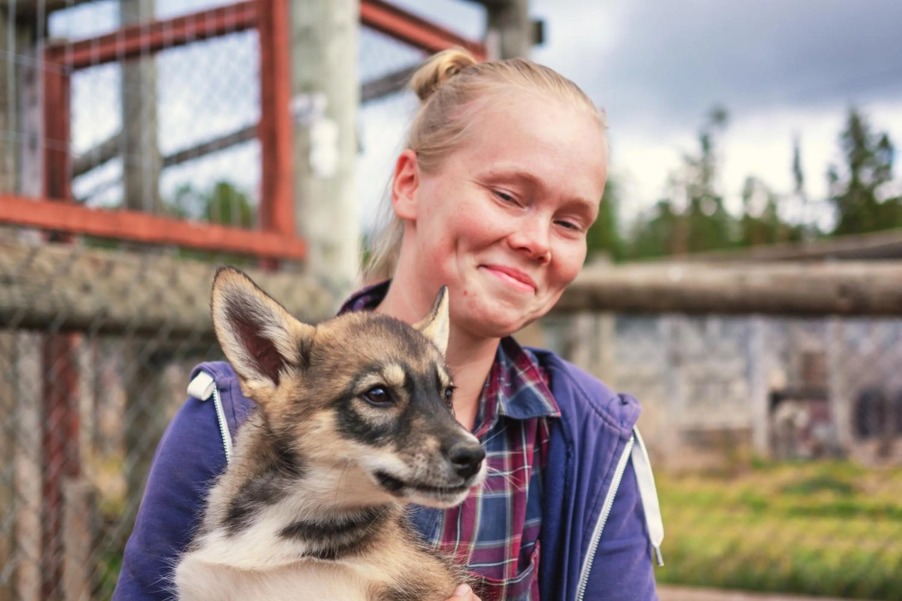 Activities in Harriniva Adventure Resort Cabins