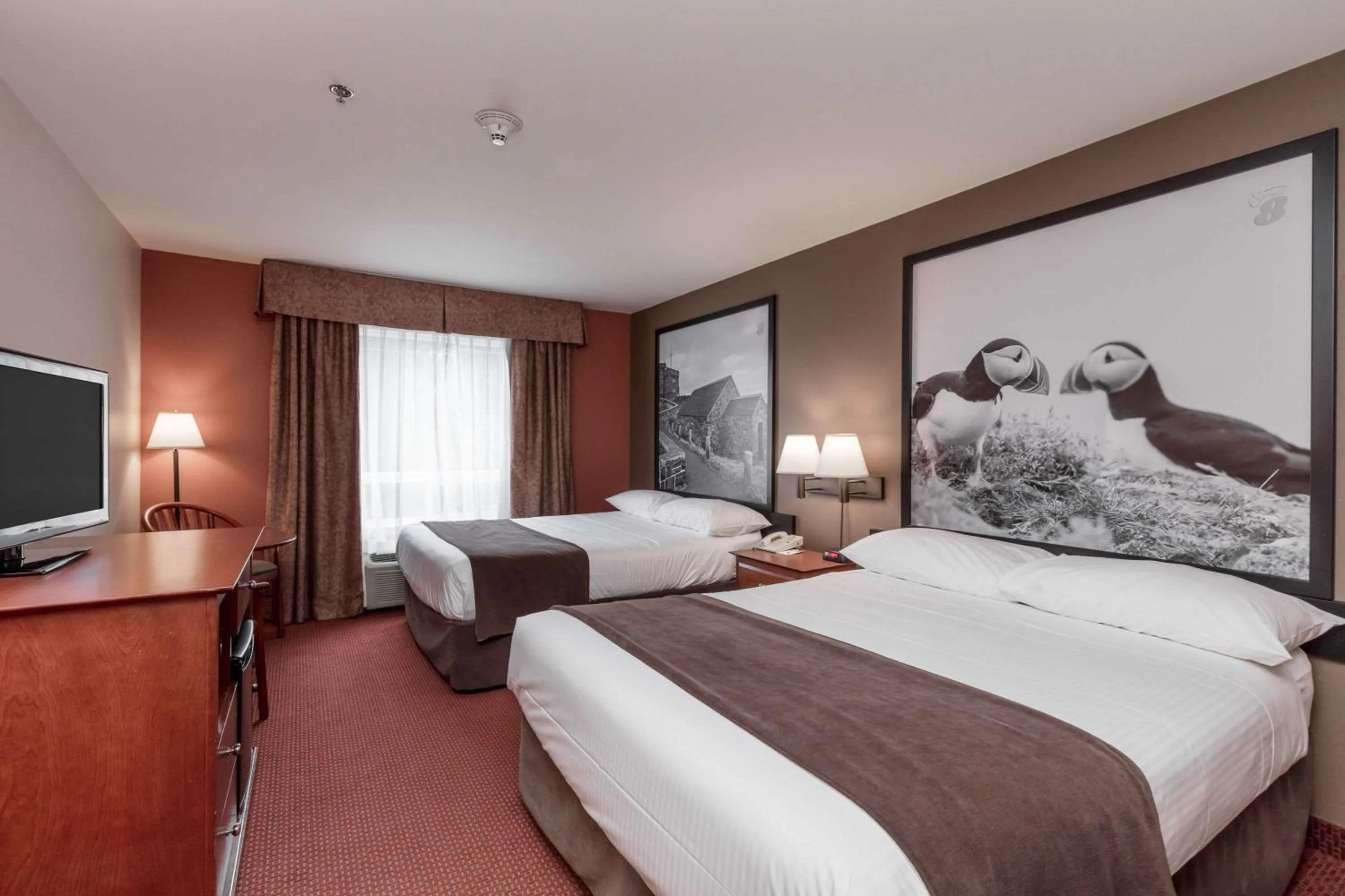 Photo of the whole room in Super 8 by Wyndham St Johns