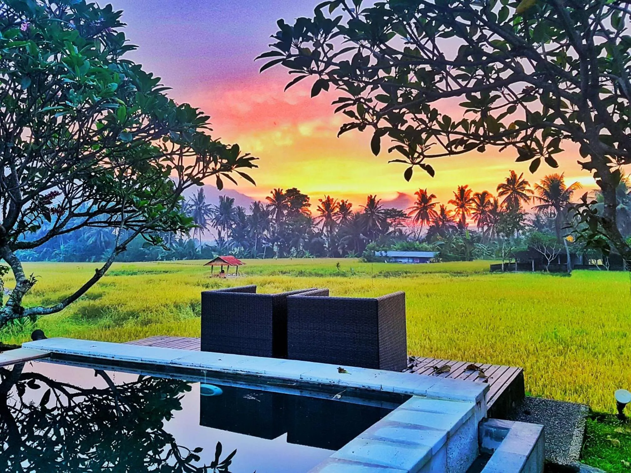 View (from property/room) in Lodtunduh Sari