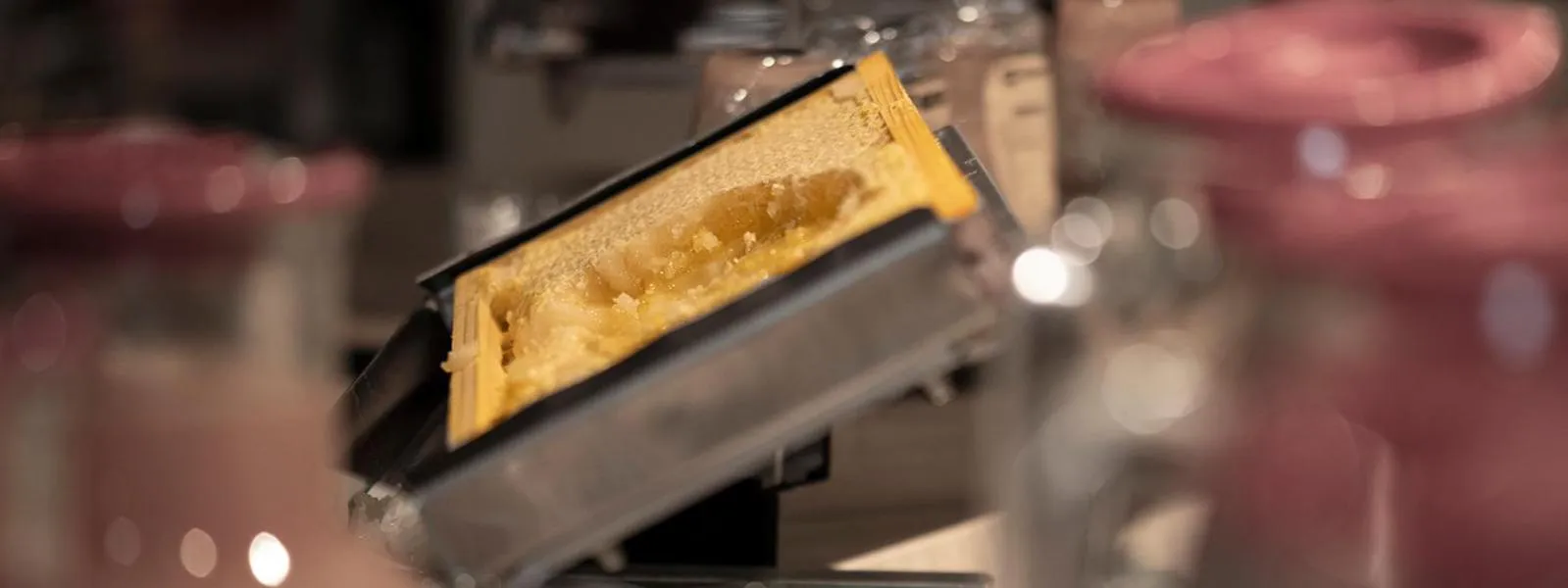 Breakfast in Hotel Regina