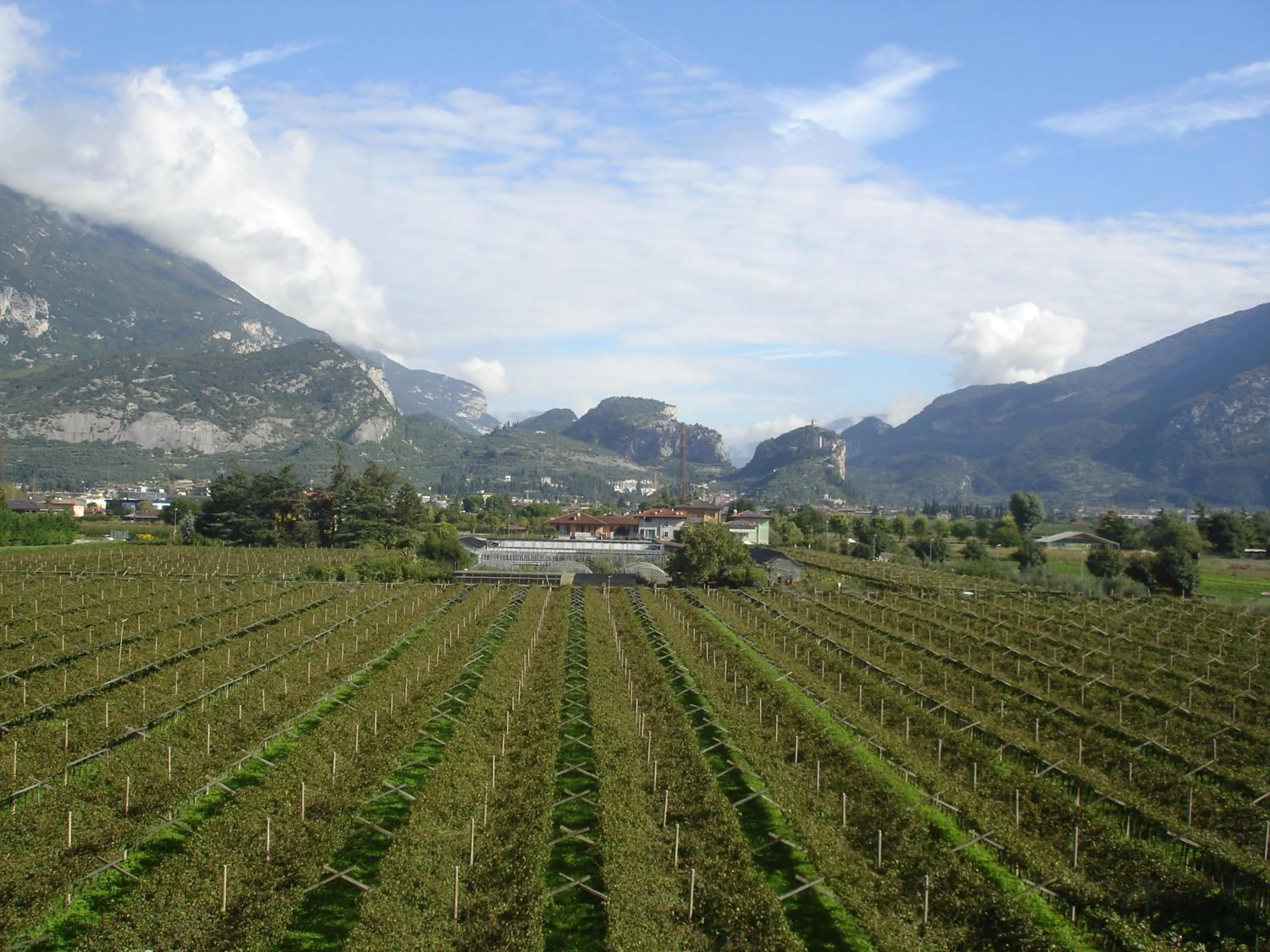 Garden in Le Servite Apartments