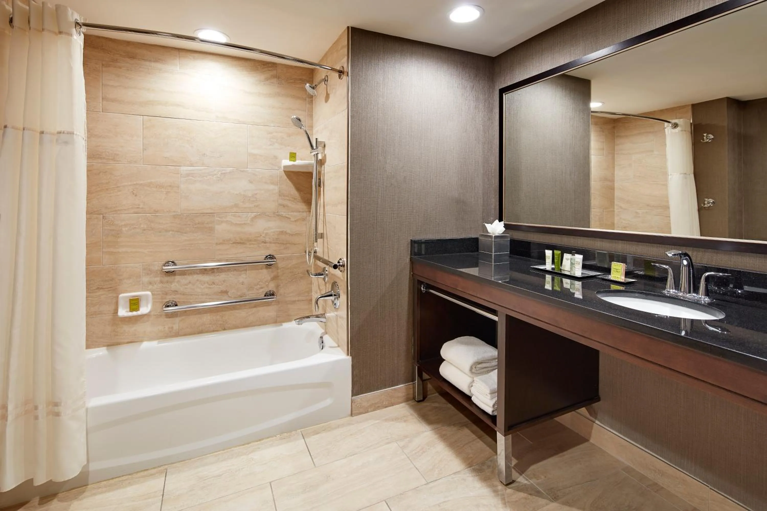 Bathroom in Hilton Houston Plaza/Medical Center