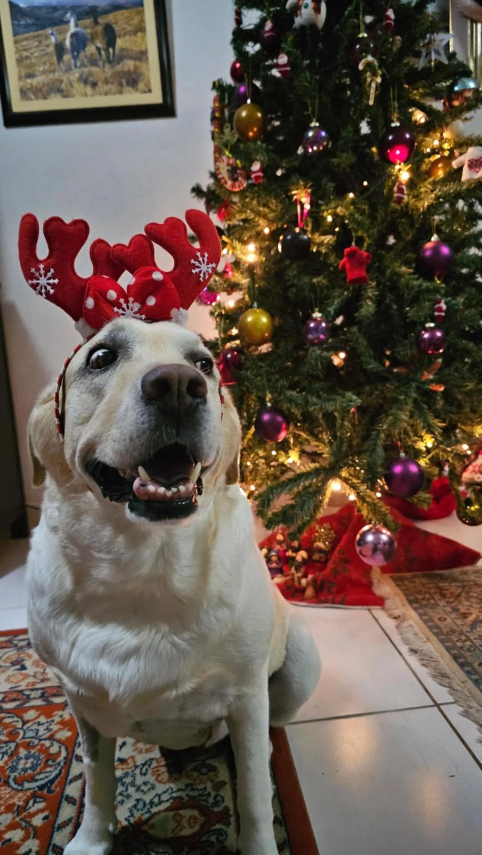 Lobby or reception in Mikaela Arraial D'Ajuda Hospedaria