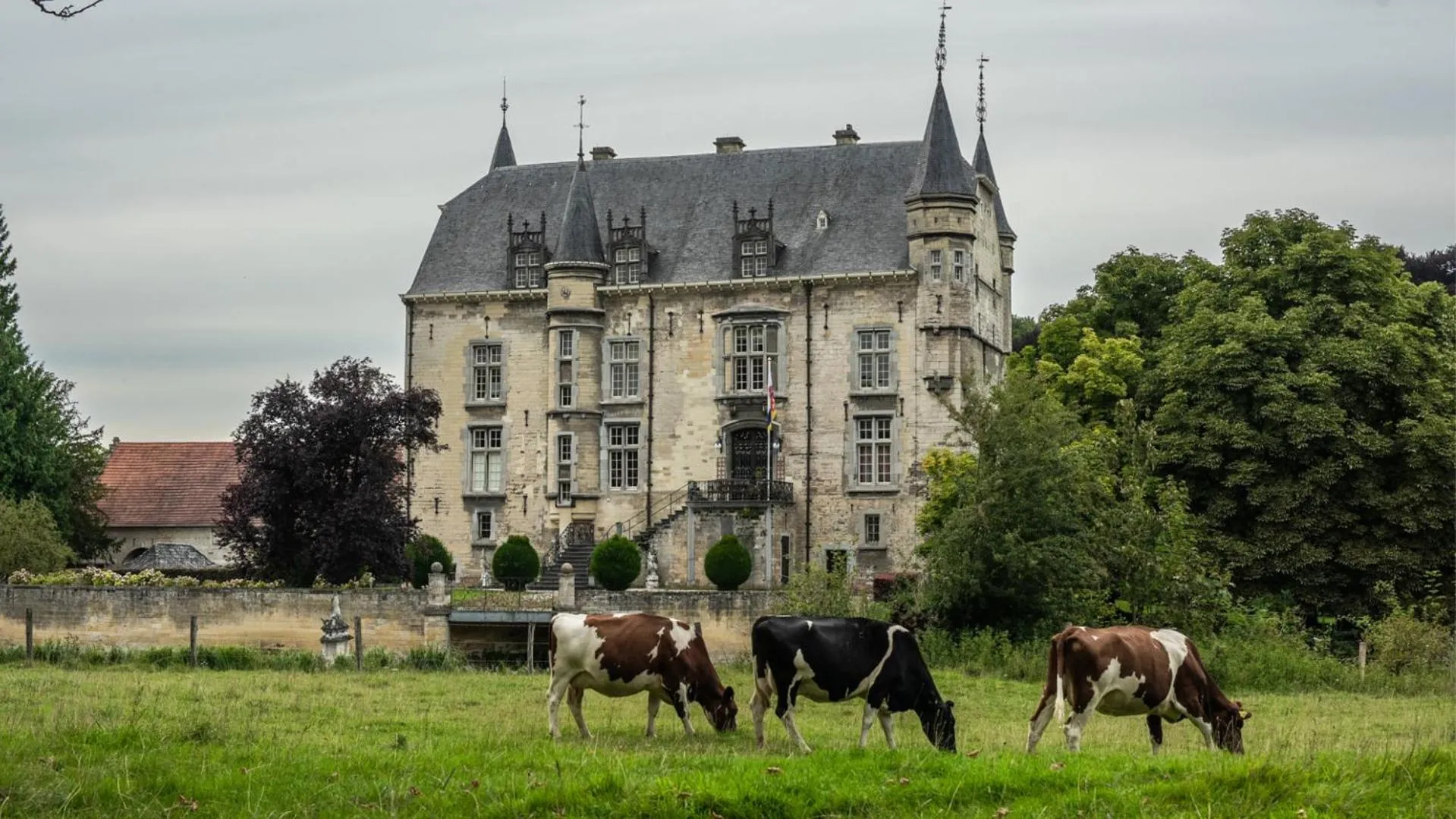 Natural landscape in Villa Valkenburg