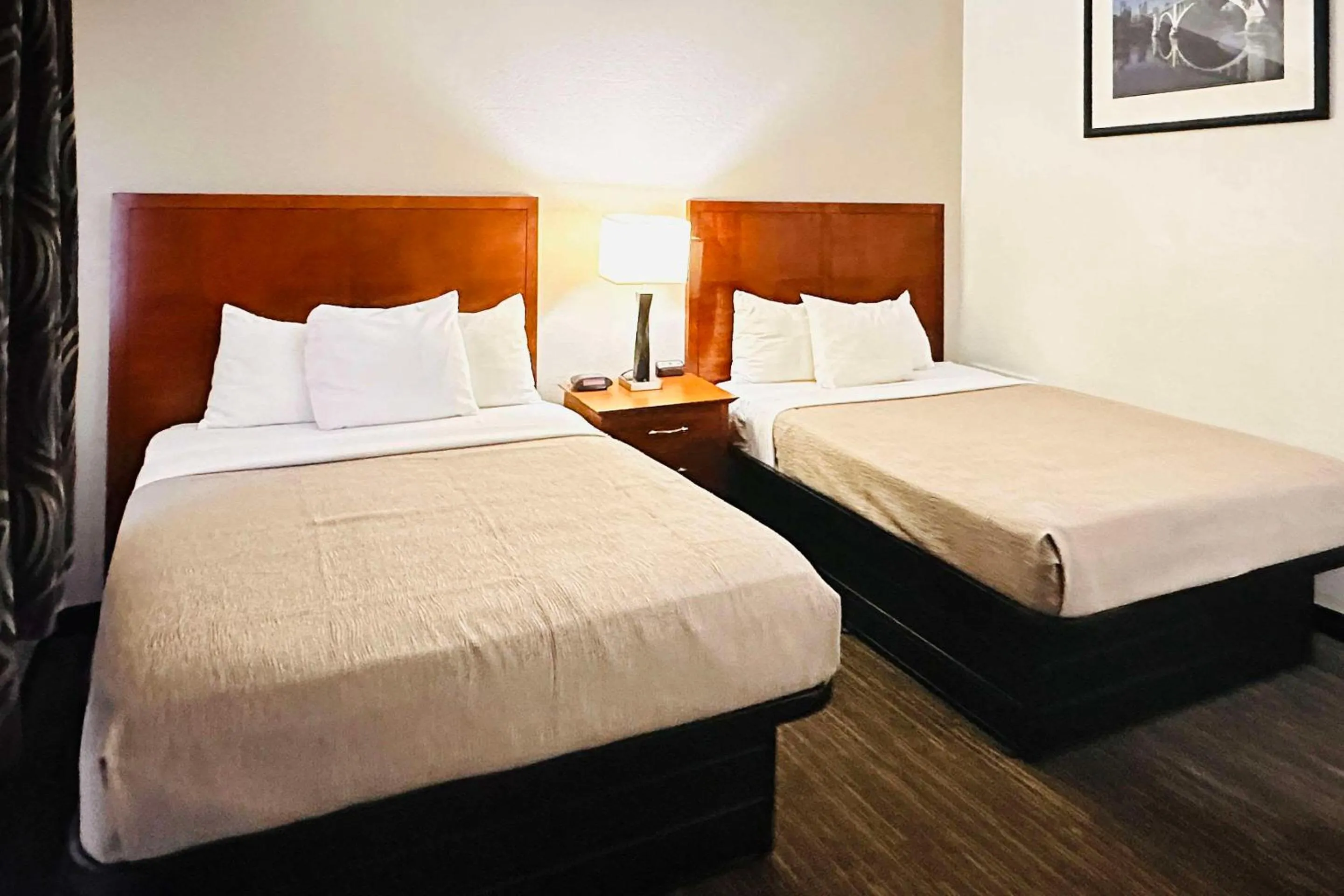 Bedroom, Bed in Quality Inn St Paul-Minneapolis-Midway