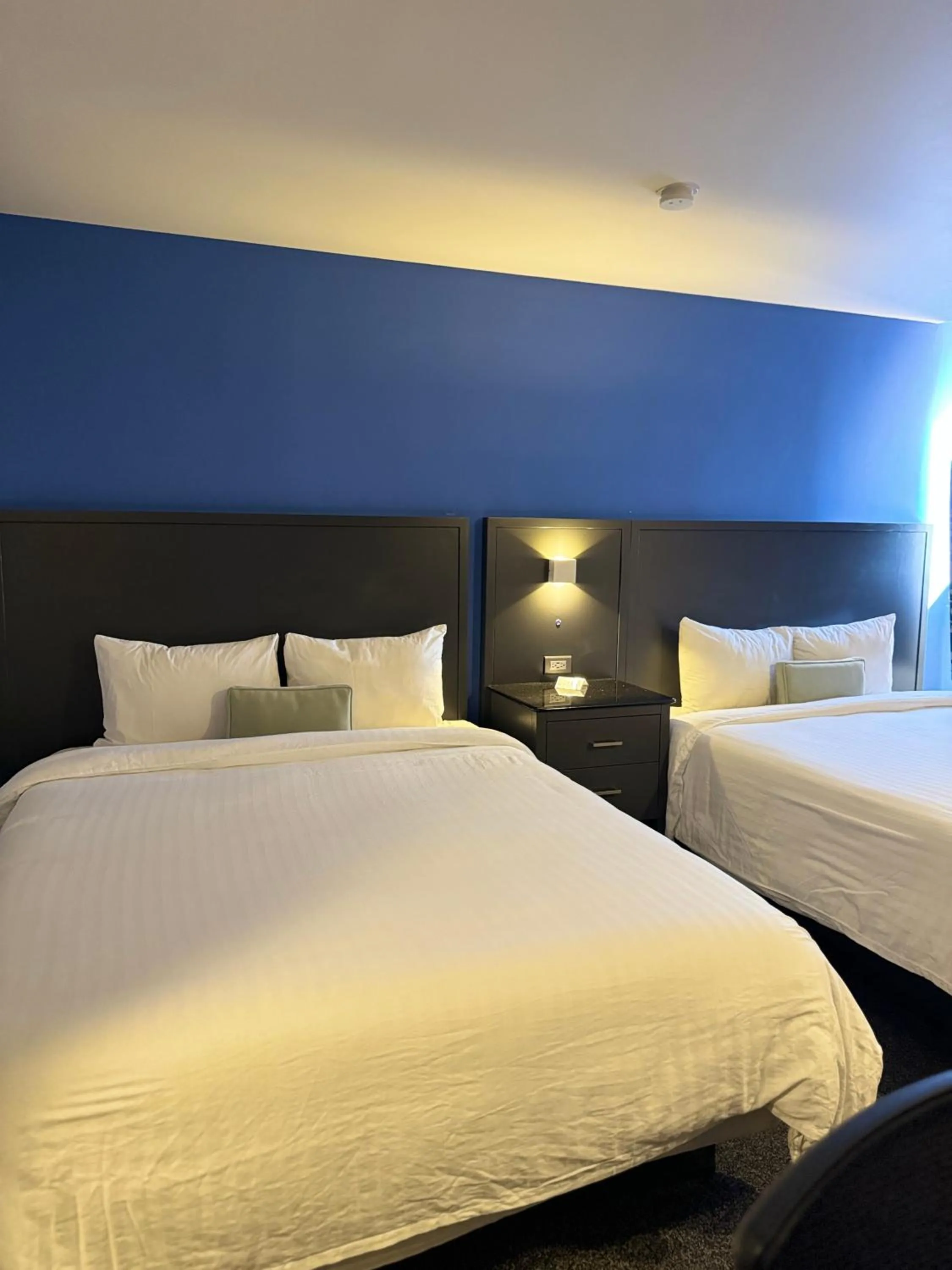 Bed in Hotel Corona Plaza