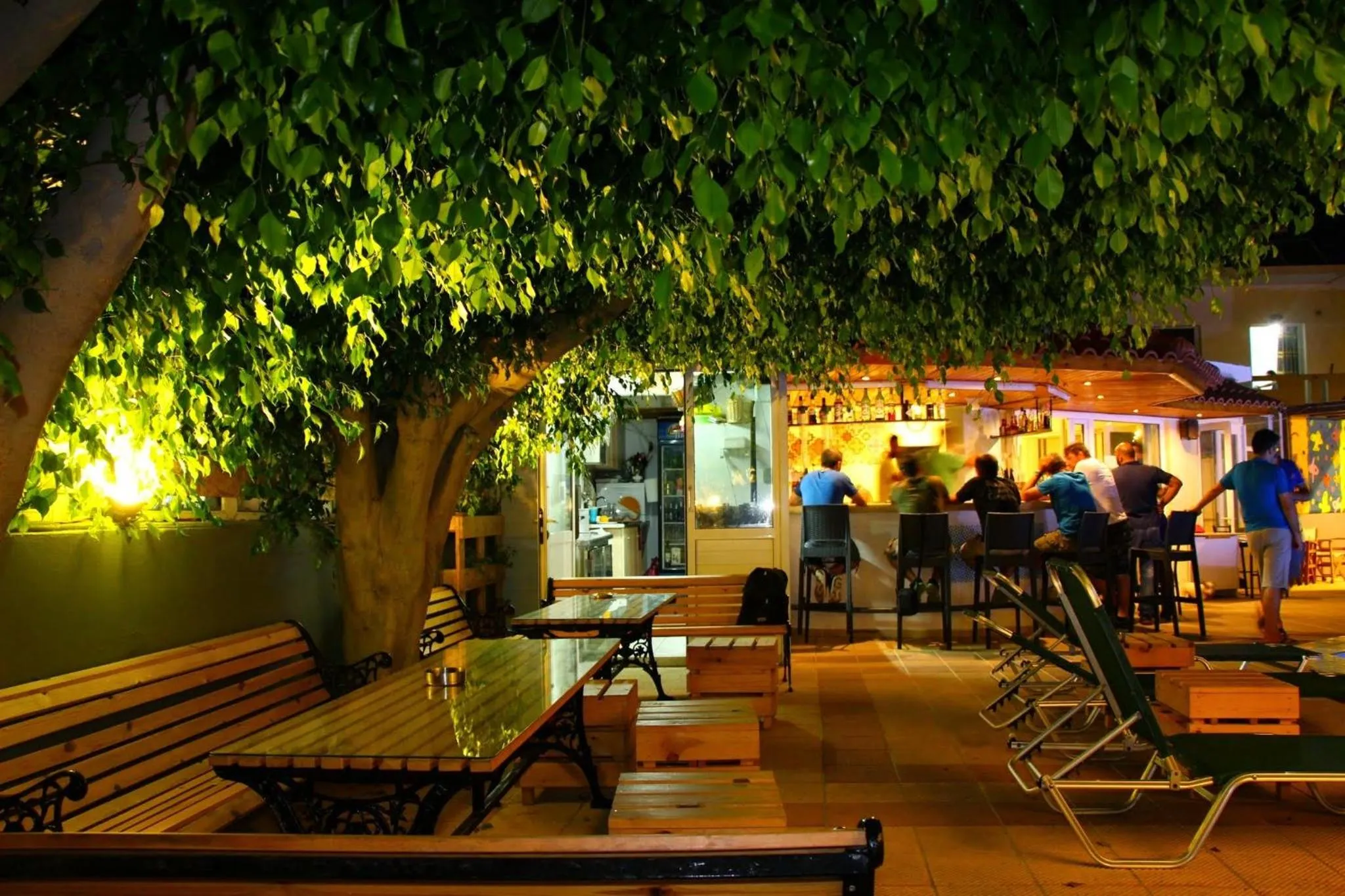 Night in Albatross Apartments