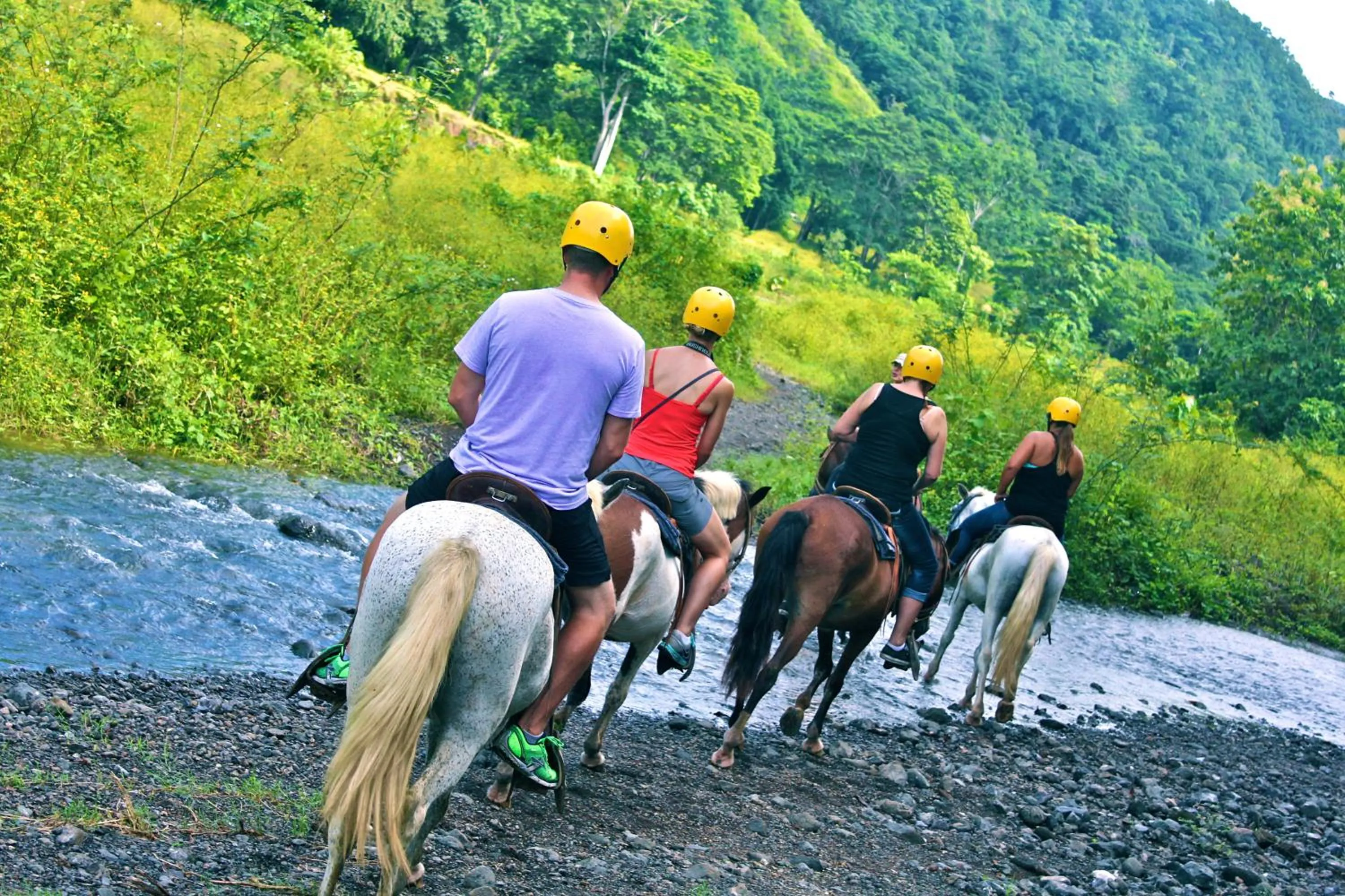 Horse-riding in Monte Carlo Luxury Condominiums