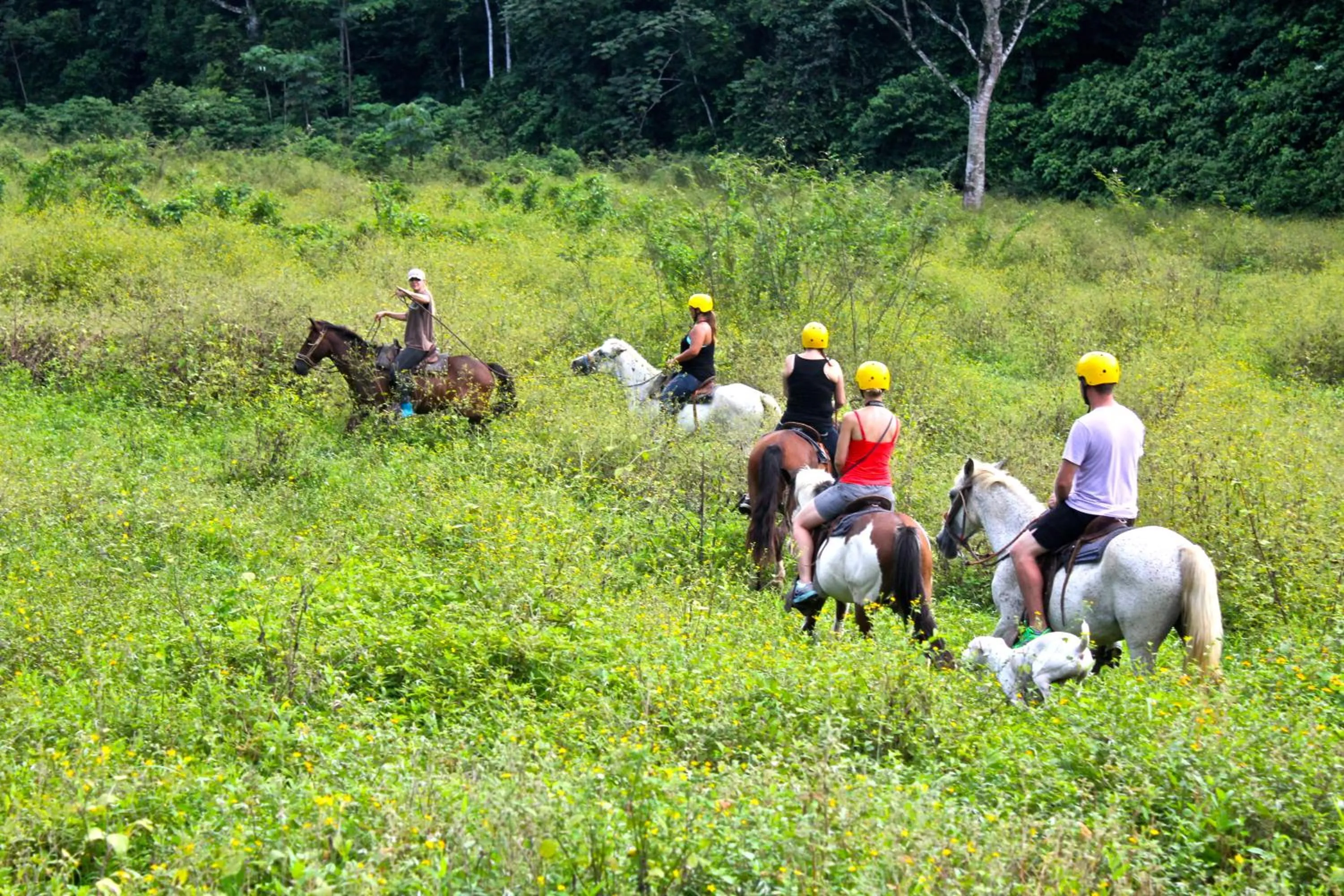 Horse-riding in Monte Carlo Luxury Condominiums