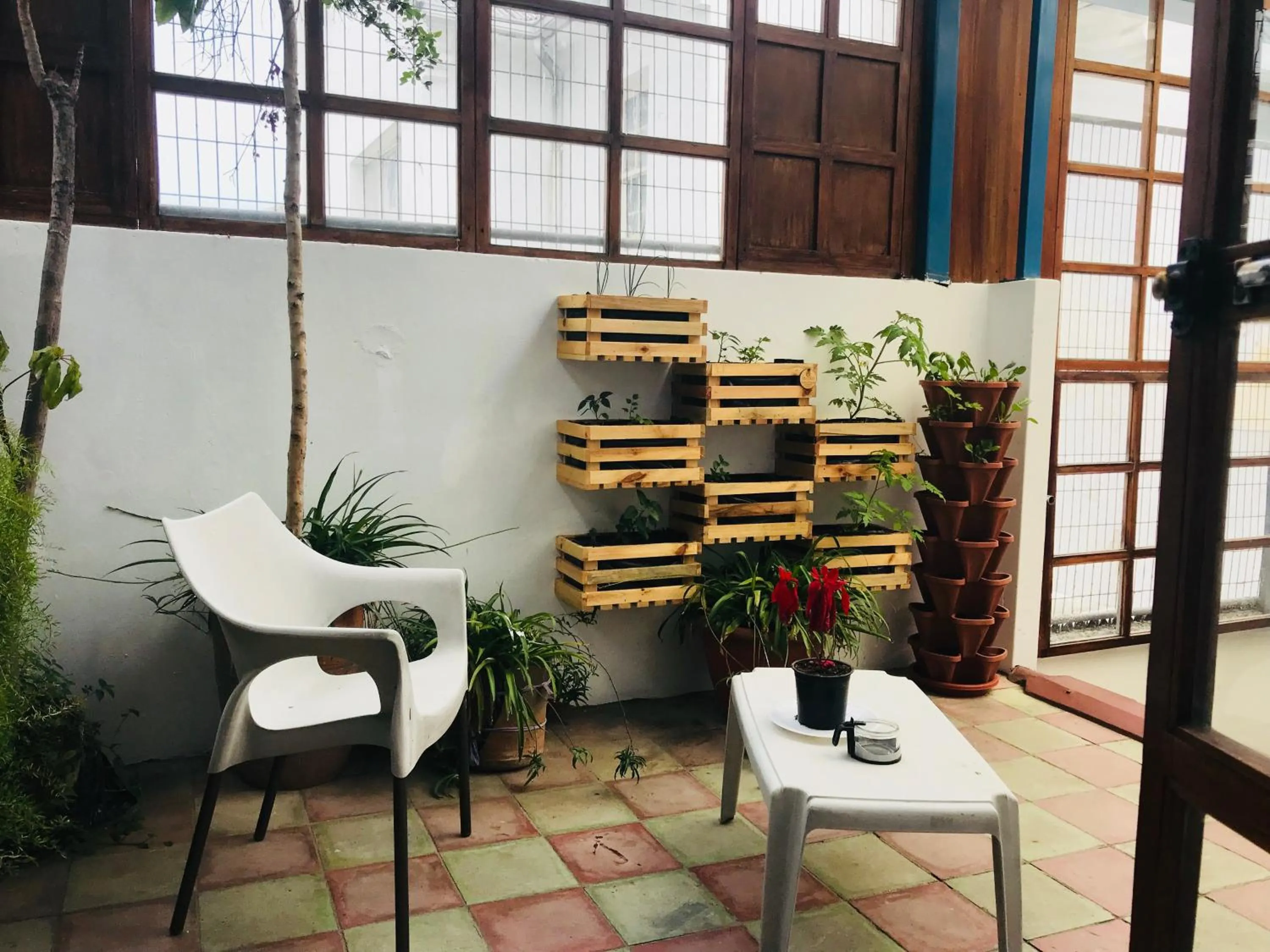 Patio in Hostal Posada del Maple