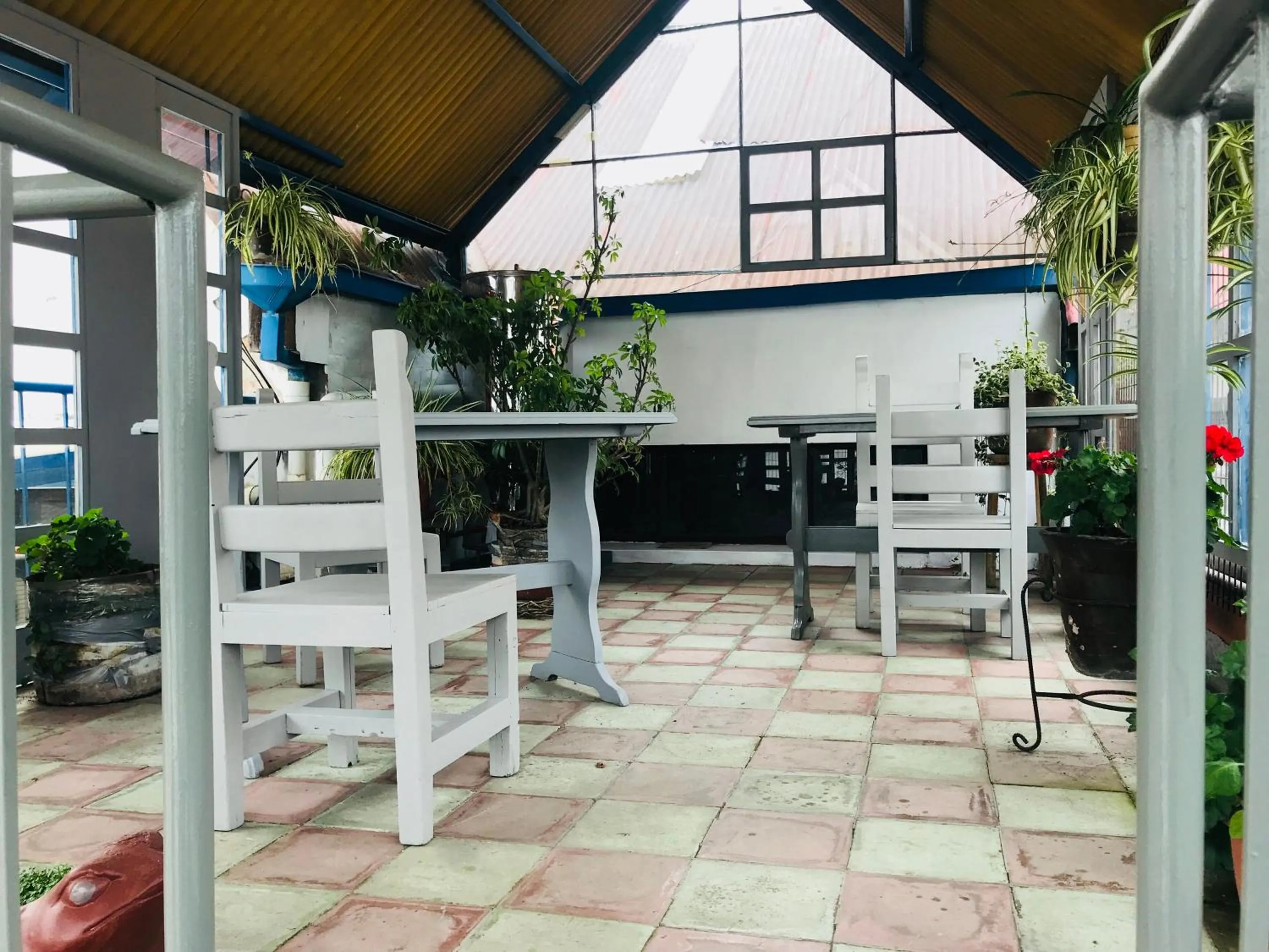 Patio in Hostal Posada del Maple