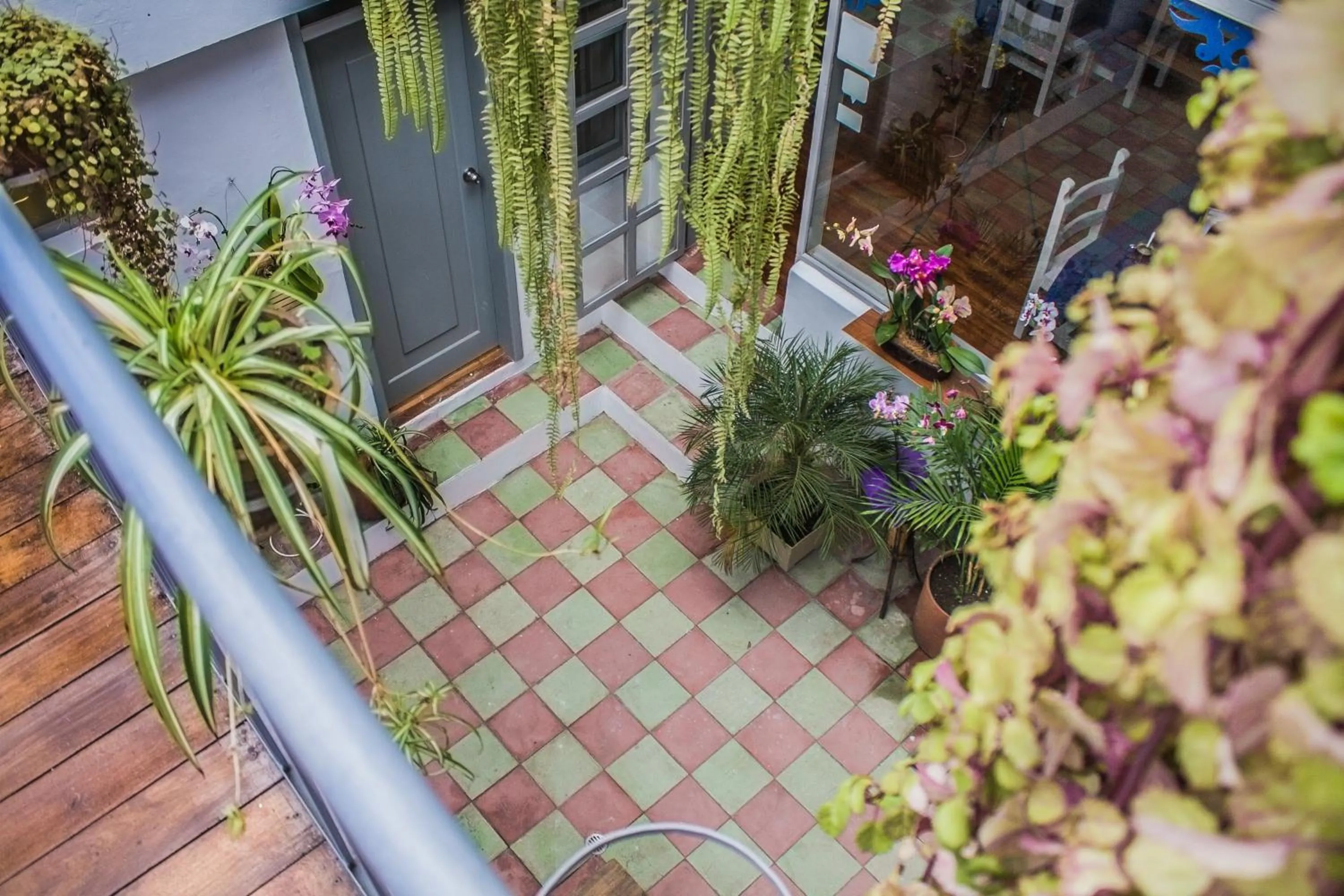 Garden in Hostal Posada del Maple