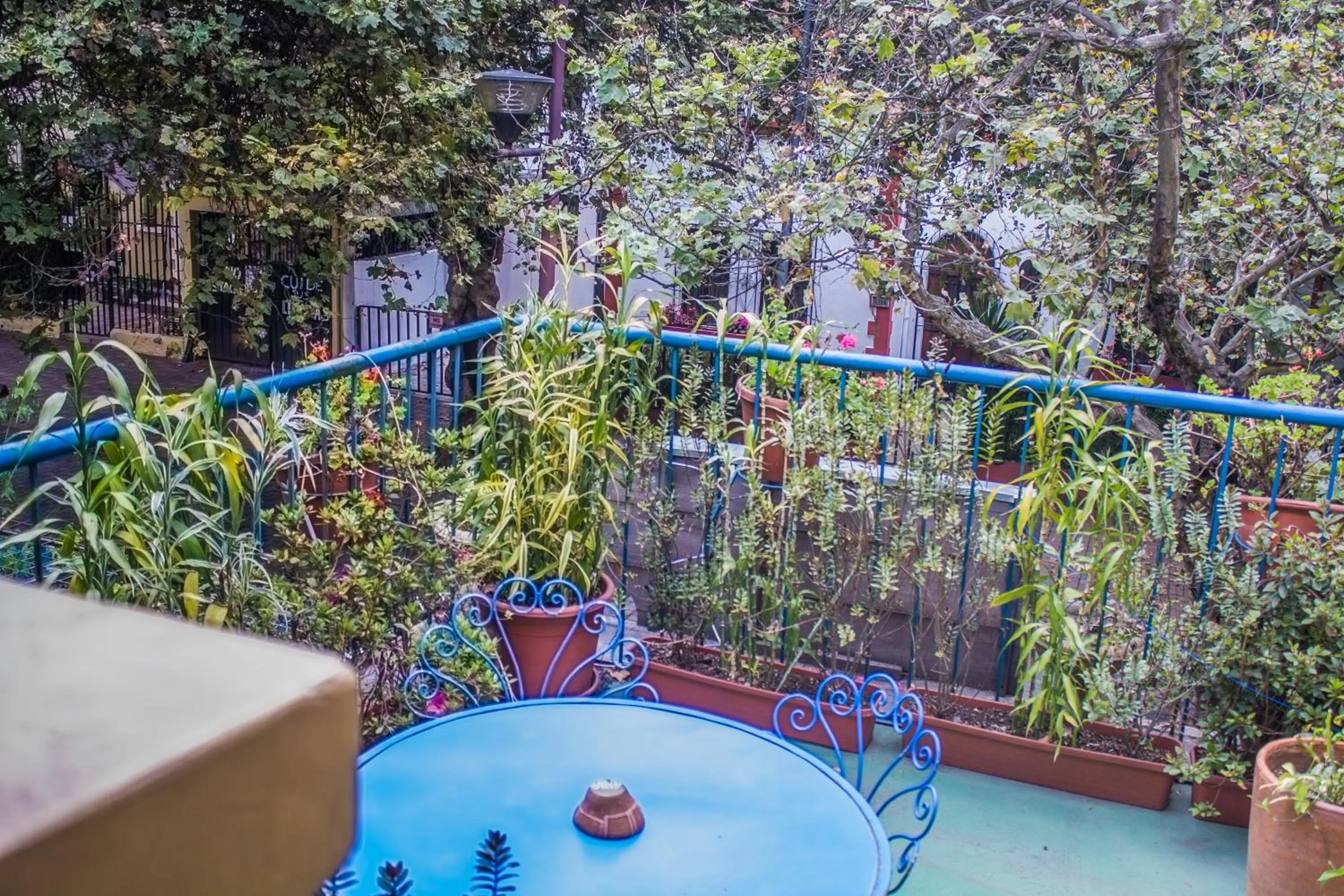 Day in Hostal Posada del Maple