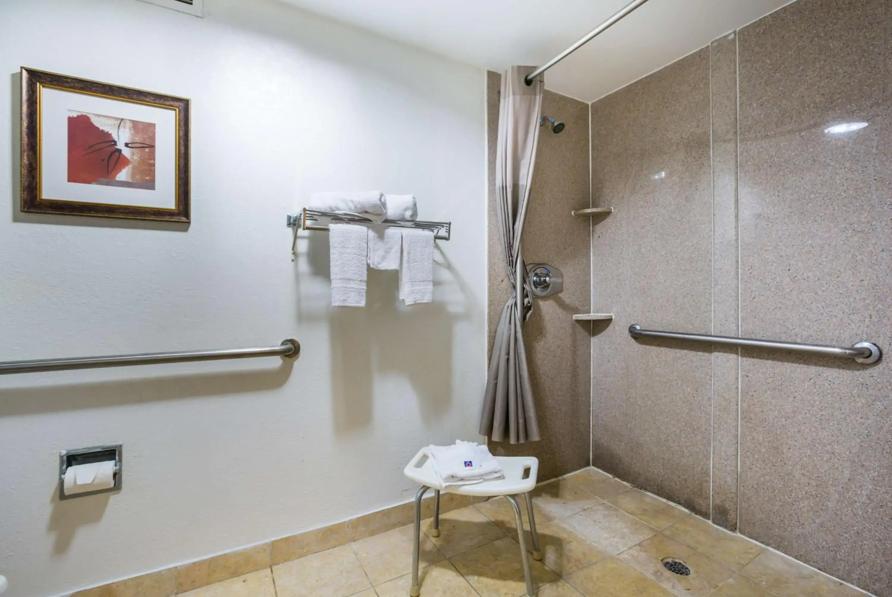 King Room with Roll-in Shower - Disability Access - Non-Smoking in Budgetel Inns & Suites - Atlanta Galleria Stadium King Room with Roll-in Shower - Disability Access - Non-Smoking in Budgetel Inns & Suites - Atlanta Galleria Stadium