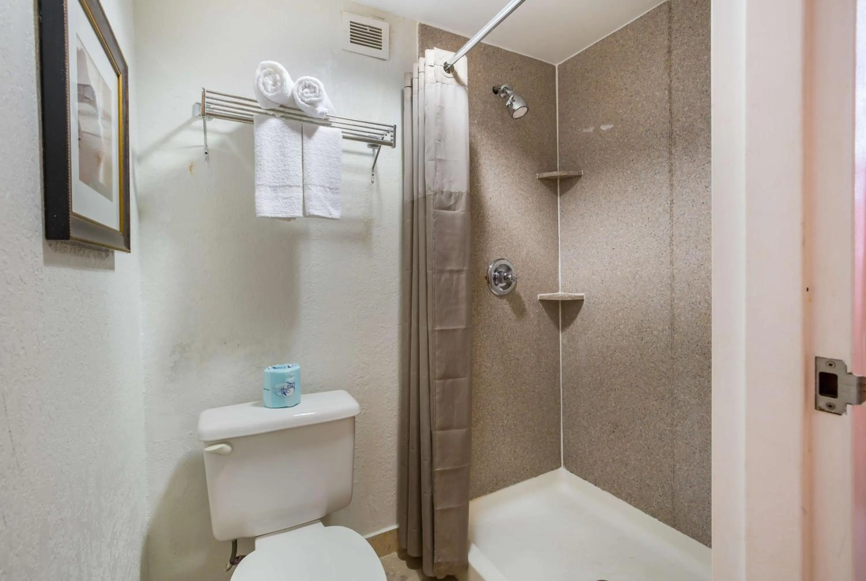 Shower in Budgetel Inns & Suites - Atlanta Galleria Stadium