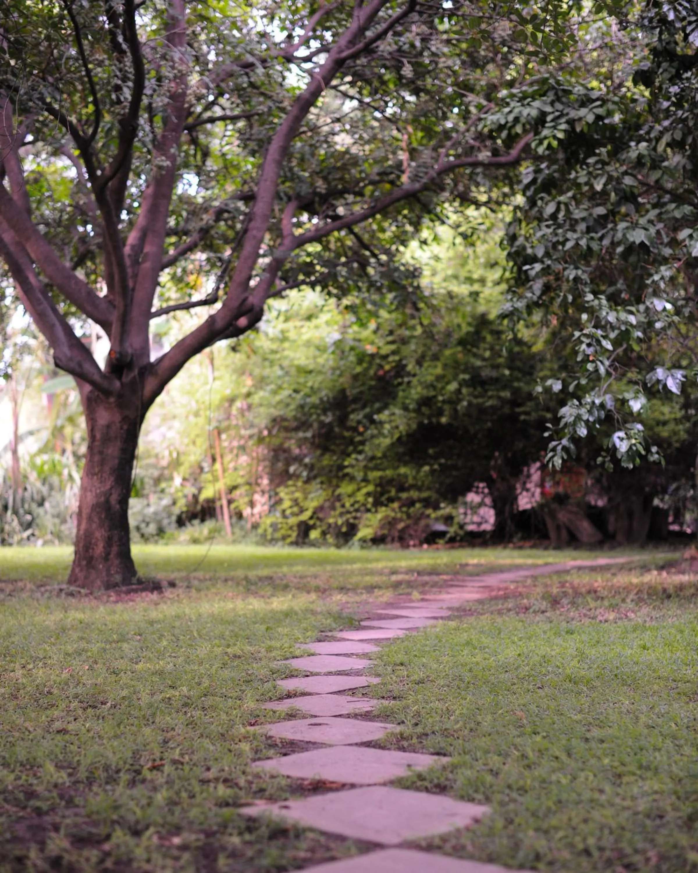 Garden in The Waterfront, Maun