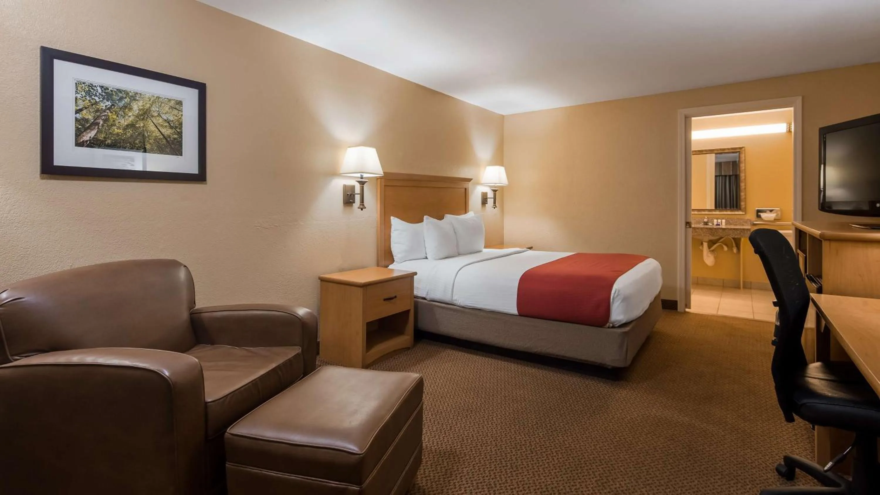 Bathroom, Bed in SureStay Plus by Best Western Covington