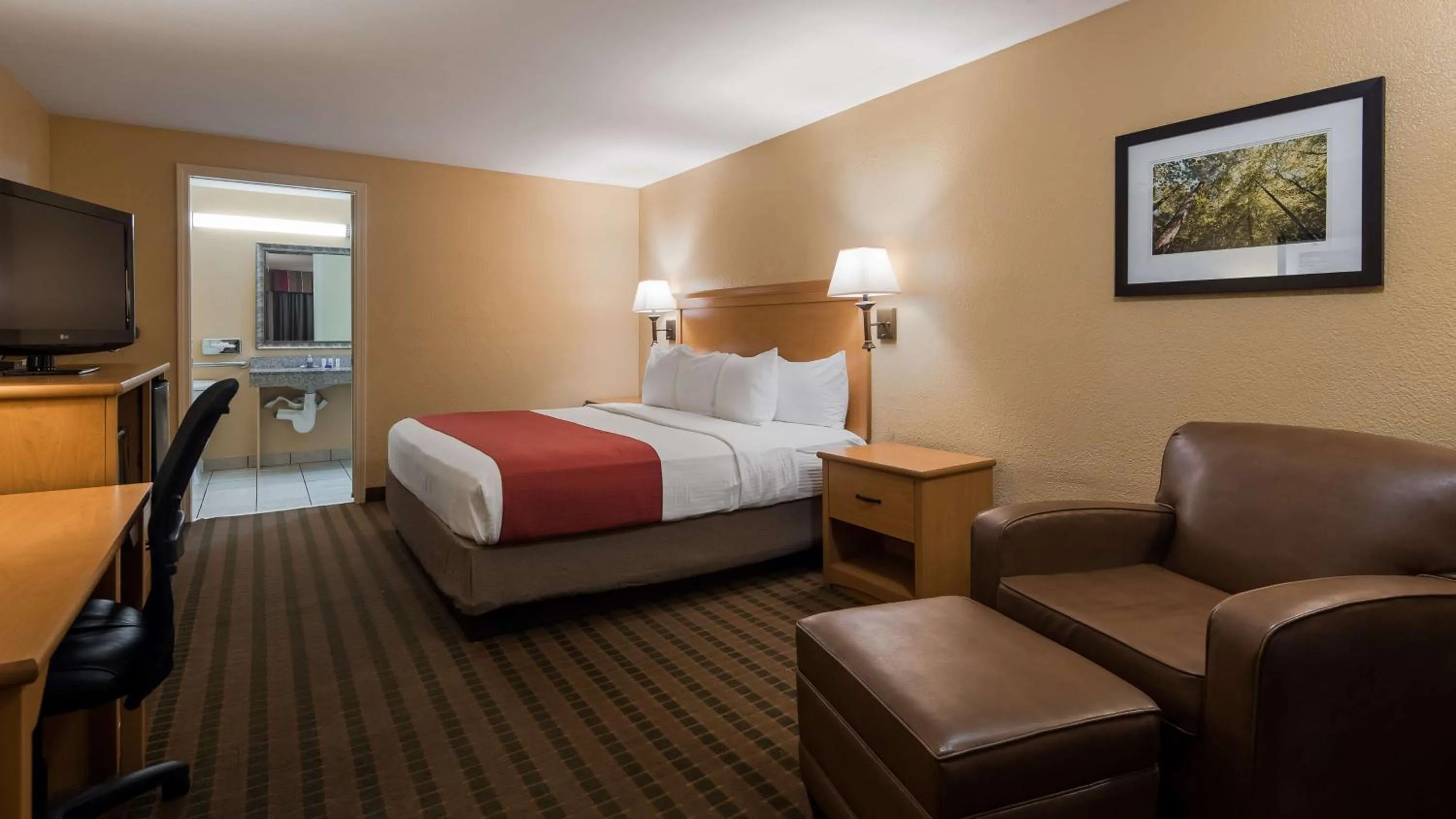 Bathroom, Bed in SureStay Plus by Best Western Covington