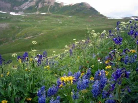 View (from property/room) in Cristiana Guesthaus