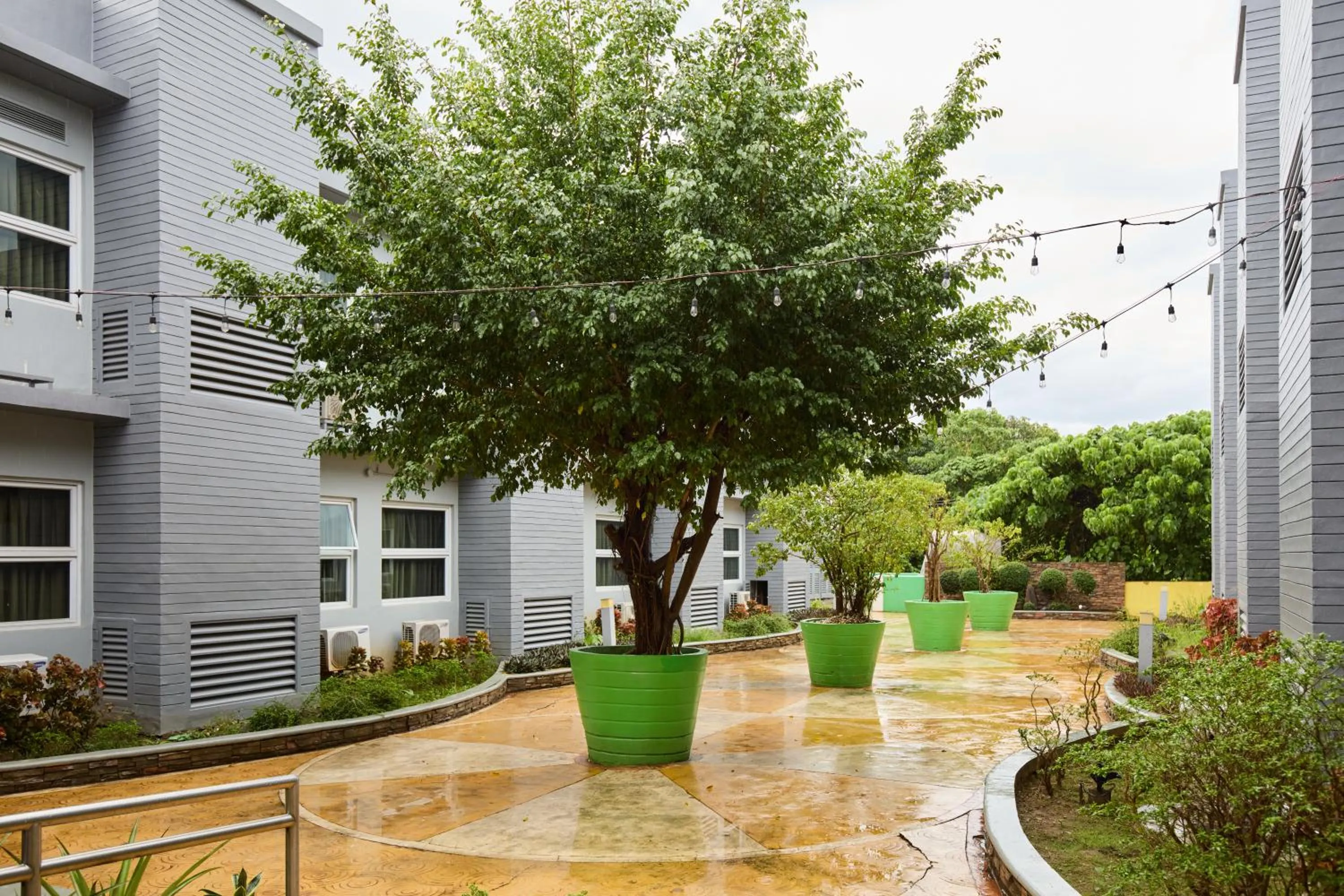 Garden in Go Hotels Puerto Princesa