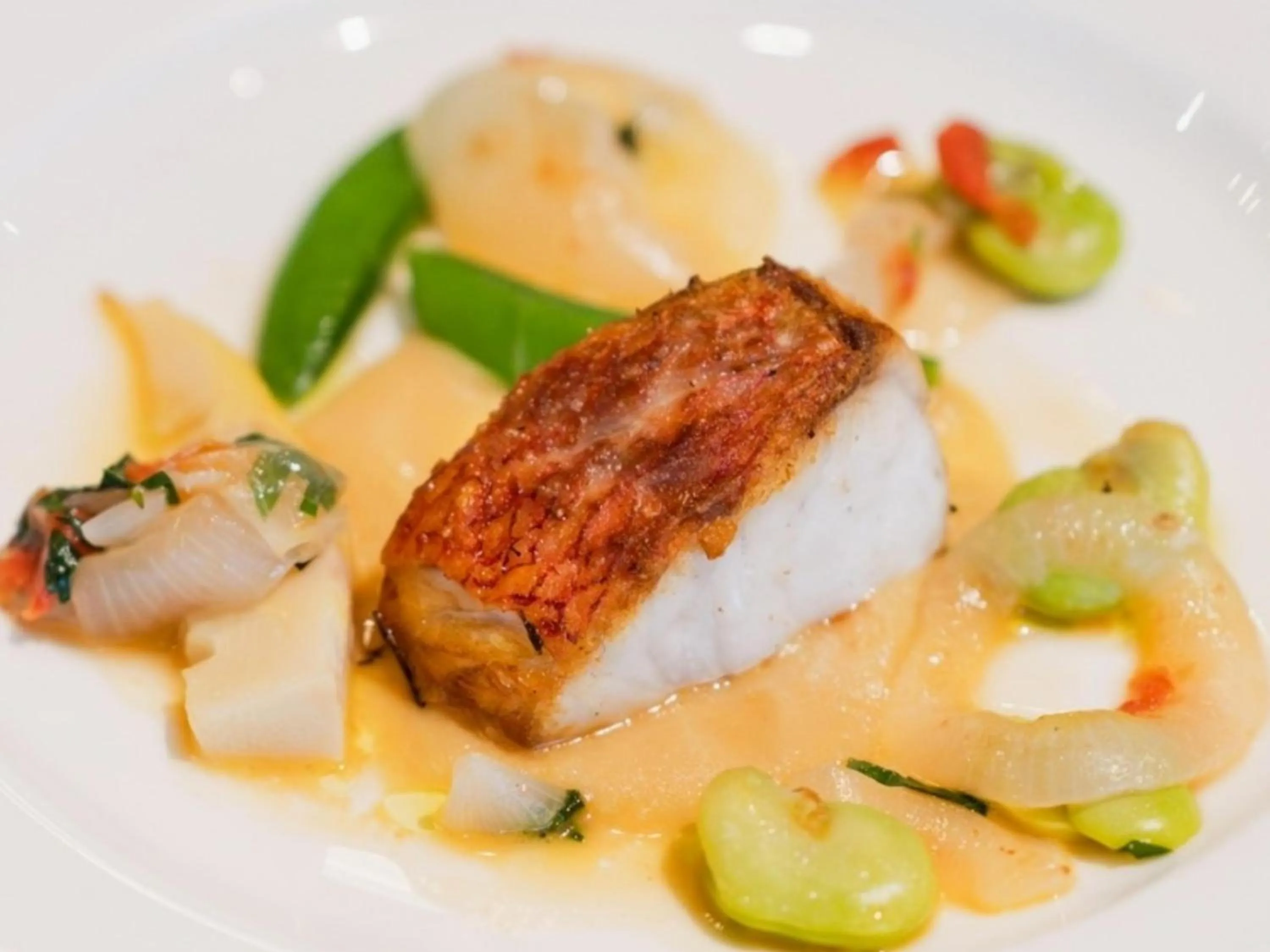 Dinner in Hakone Elecasa Hotel and Spa