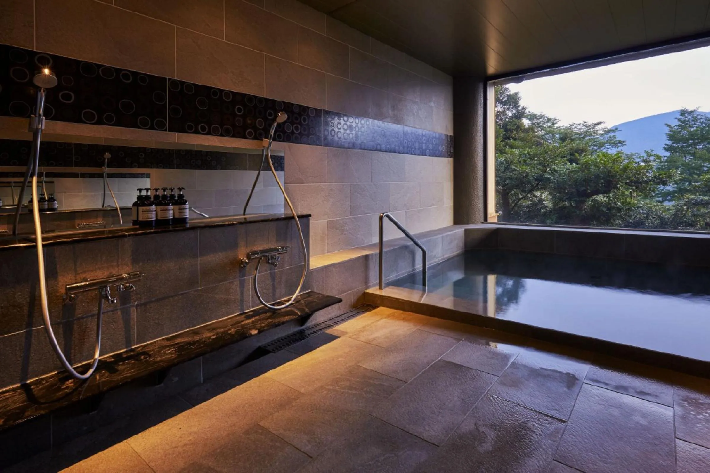 Hot Spring Bath in Hakone Elecasa Hotel and Spa