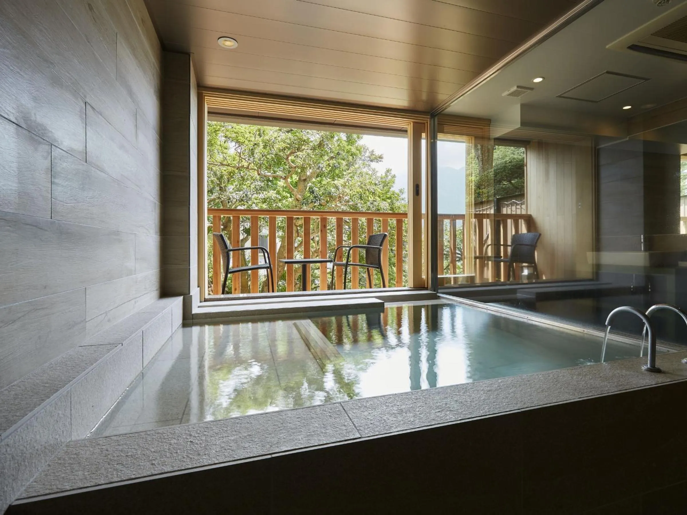 Hot Spring Bath in Hakone Elecasa Hotel and Spa