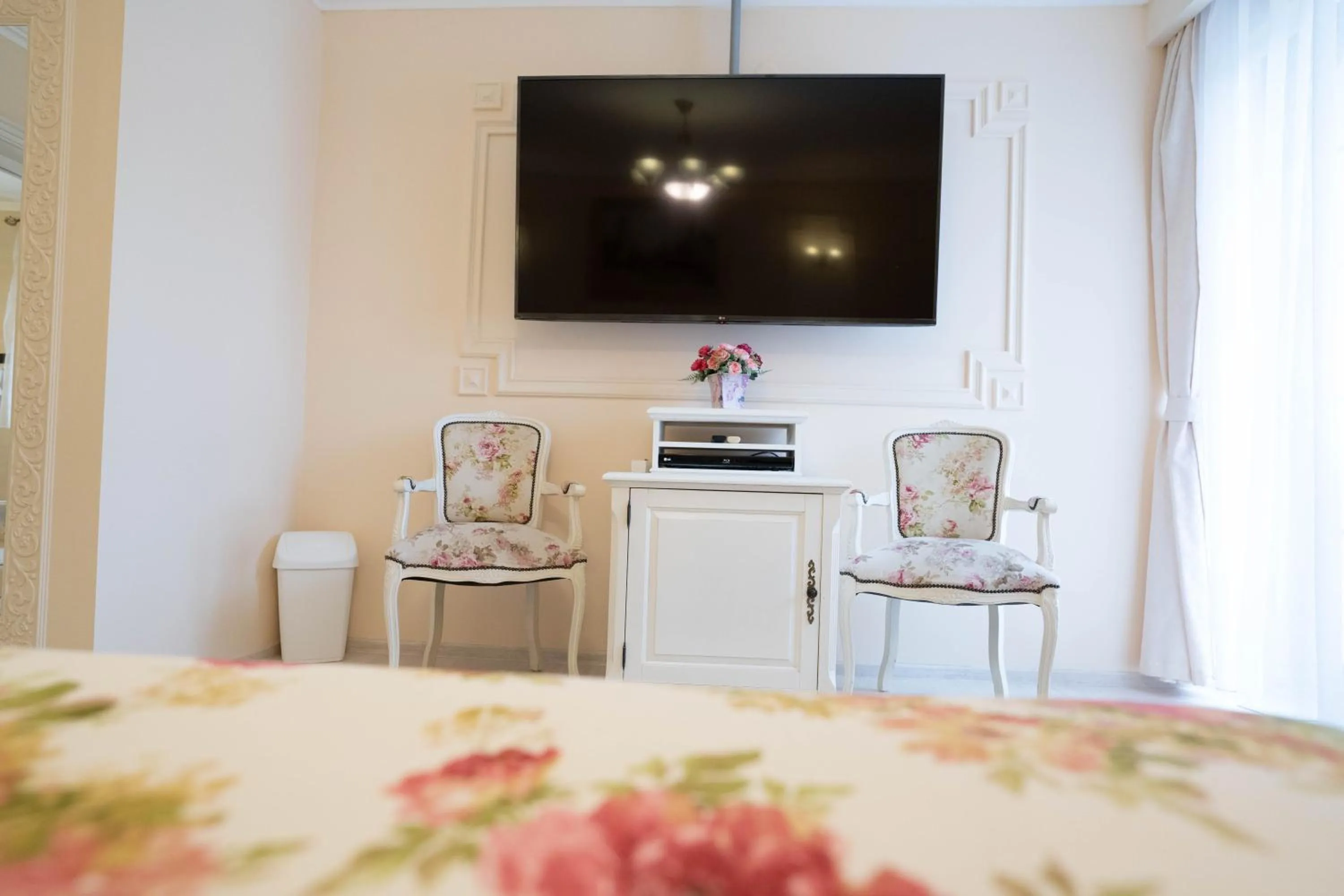 TV and multimedia in Villa Alice