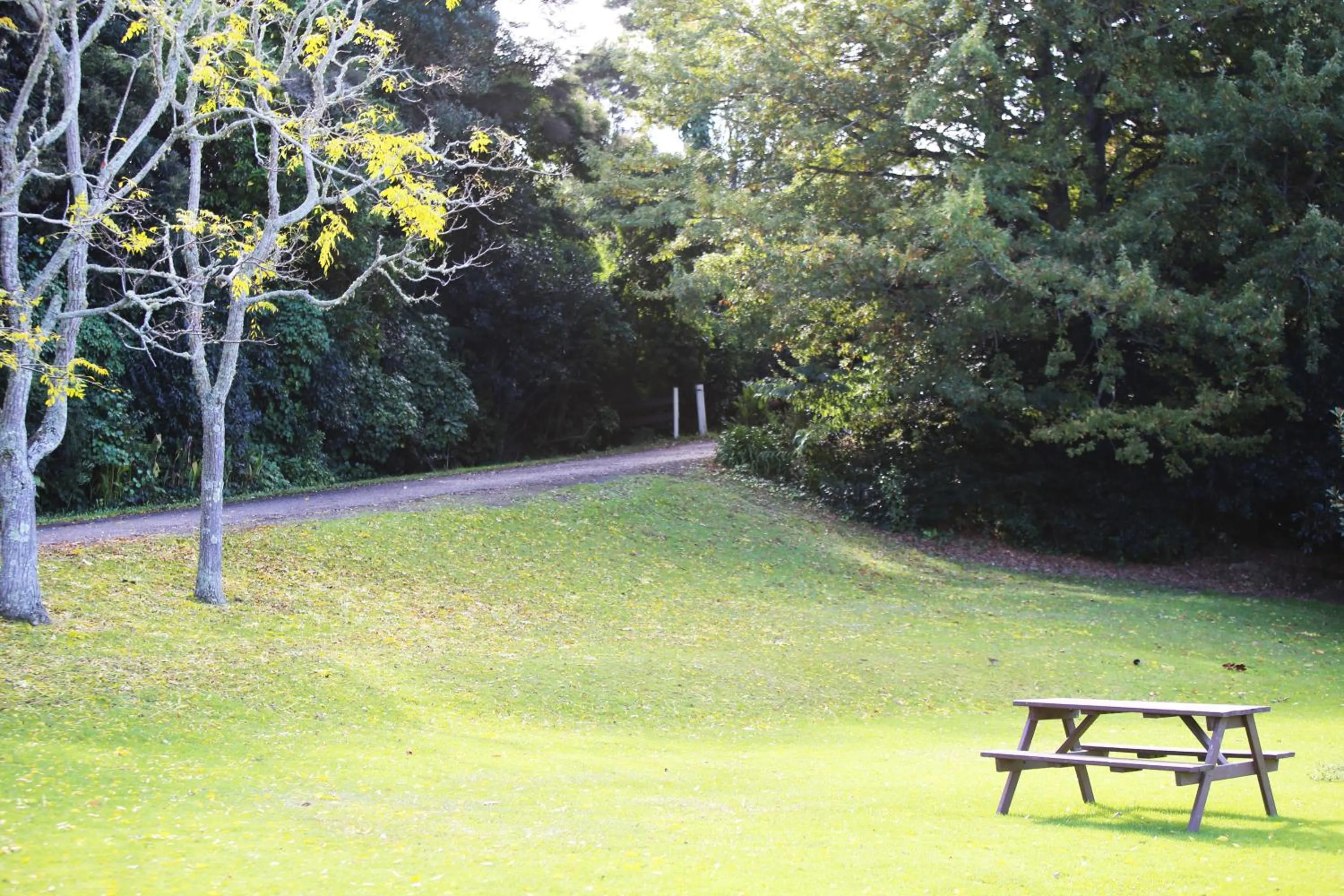 Orere Point TOP 10 Holiday Park