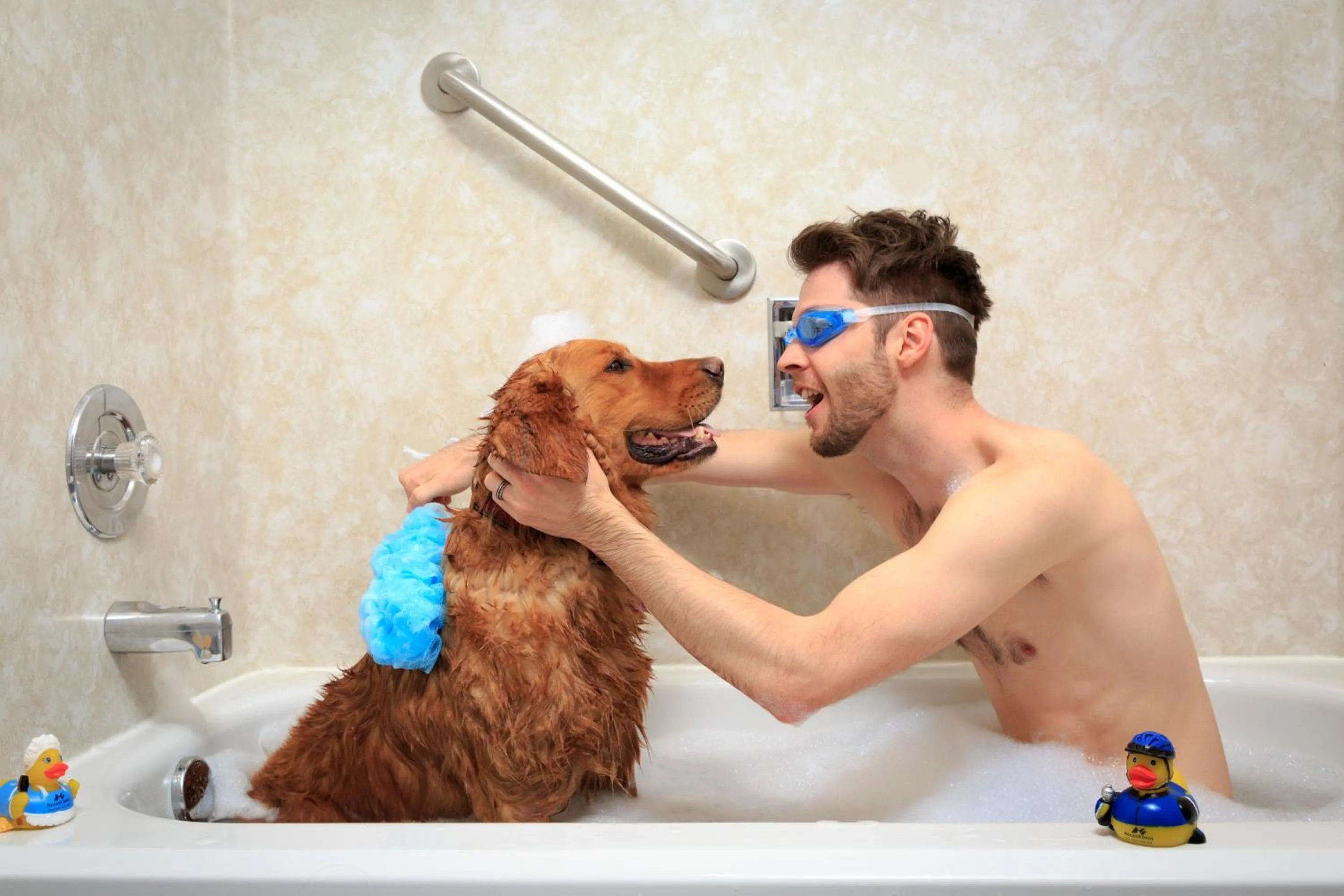 Pets in Accent Inns Kelowna