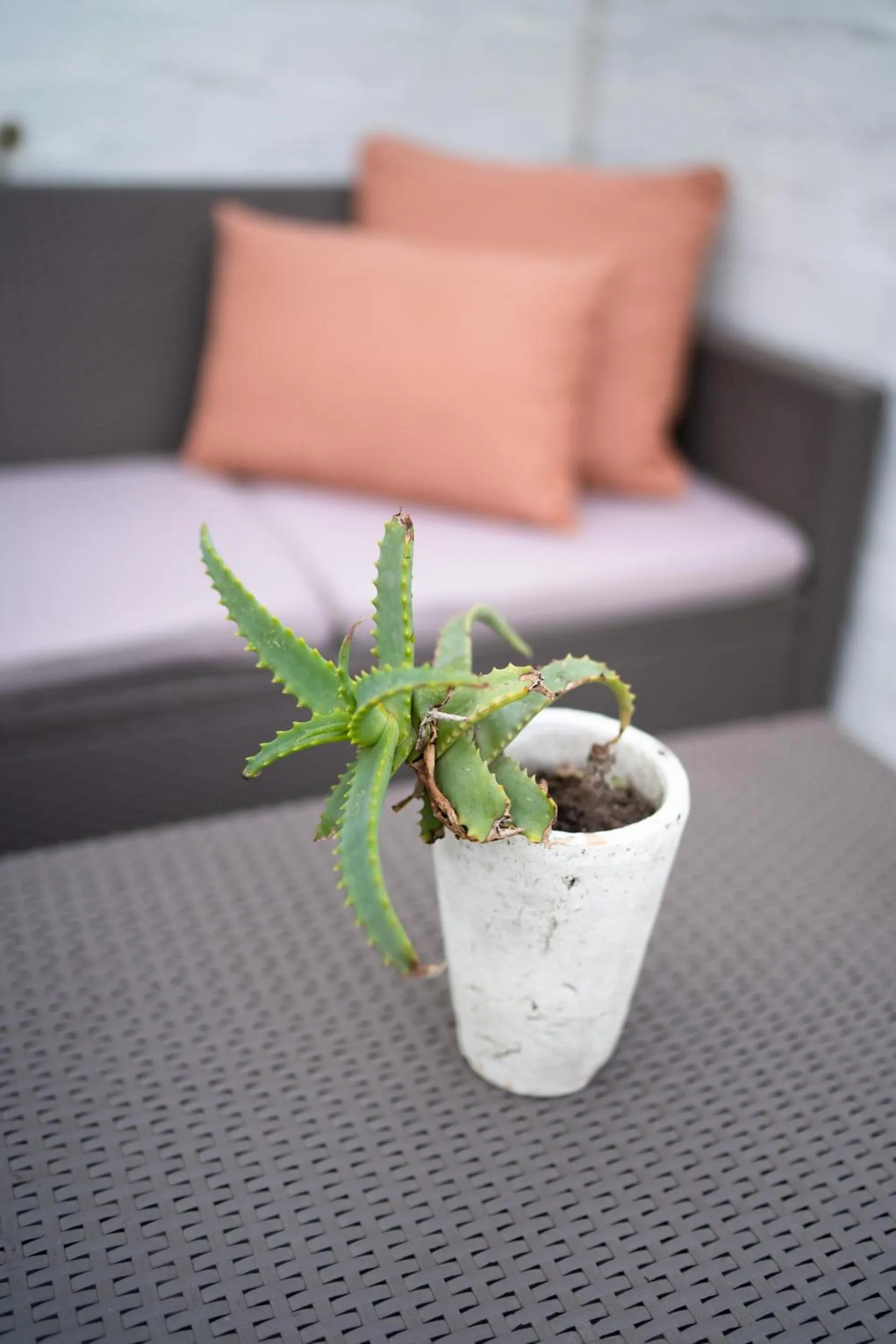 Seating area in Kogman & Keisie Guest Farm